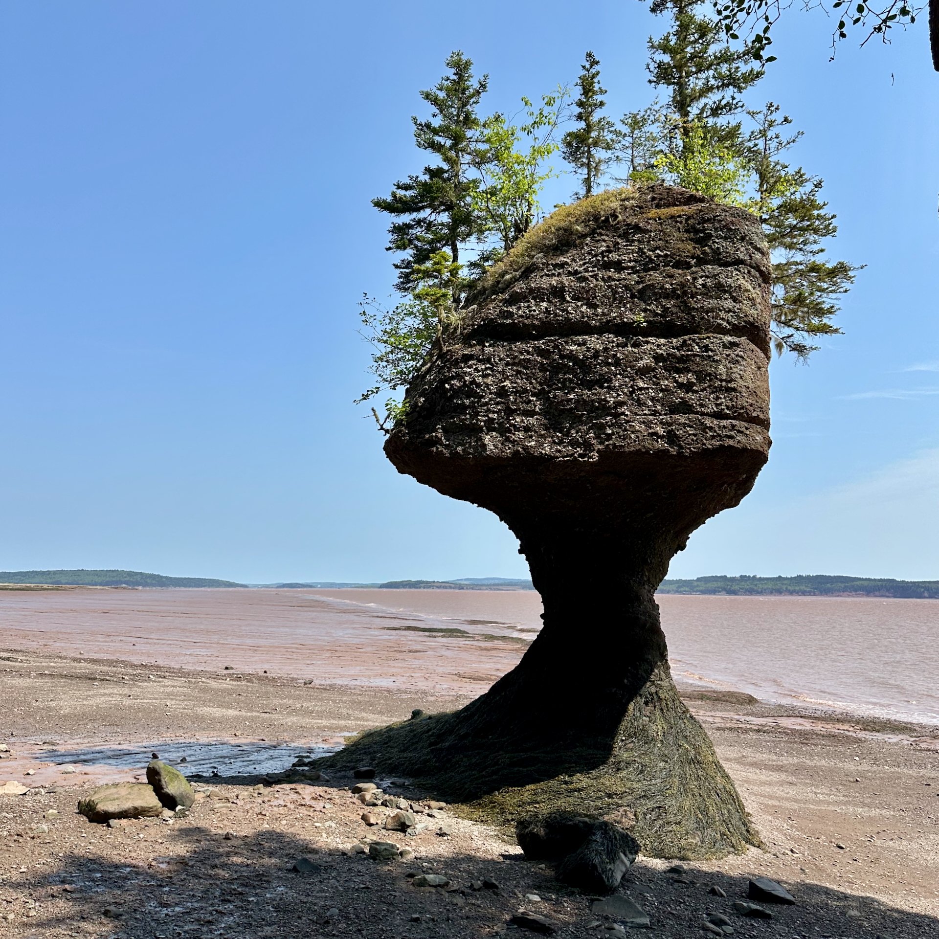 2025 06 Bay of Fundy - 36.jpeg