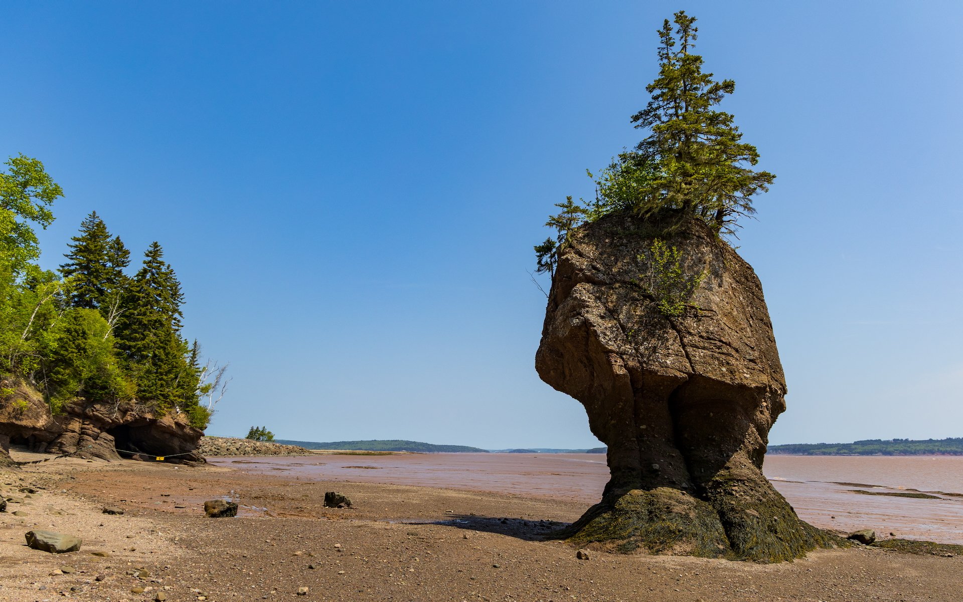 2025 06 Bay of Fundy - 40.jpeg