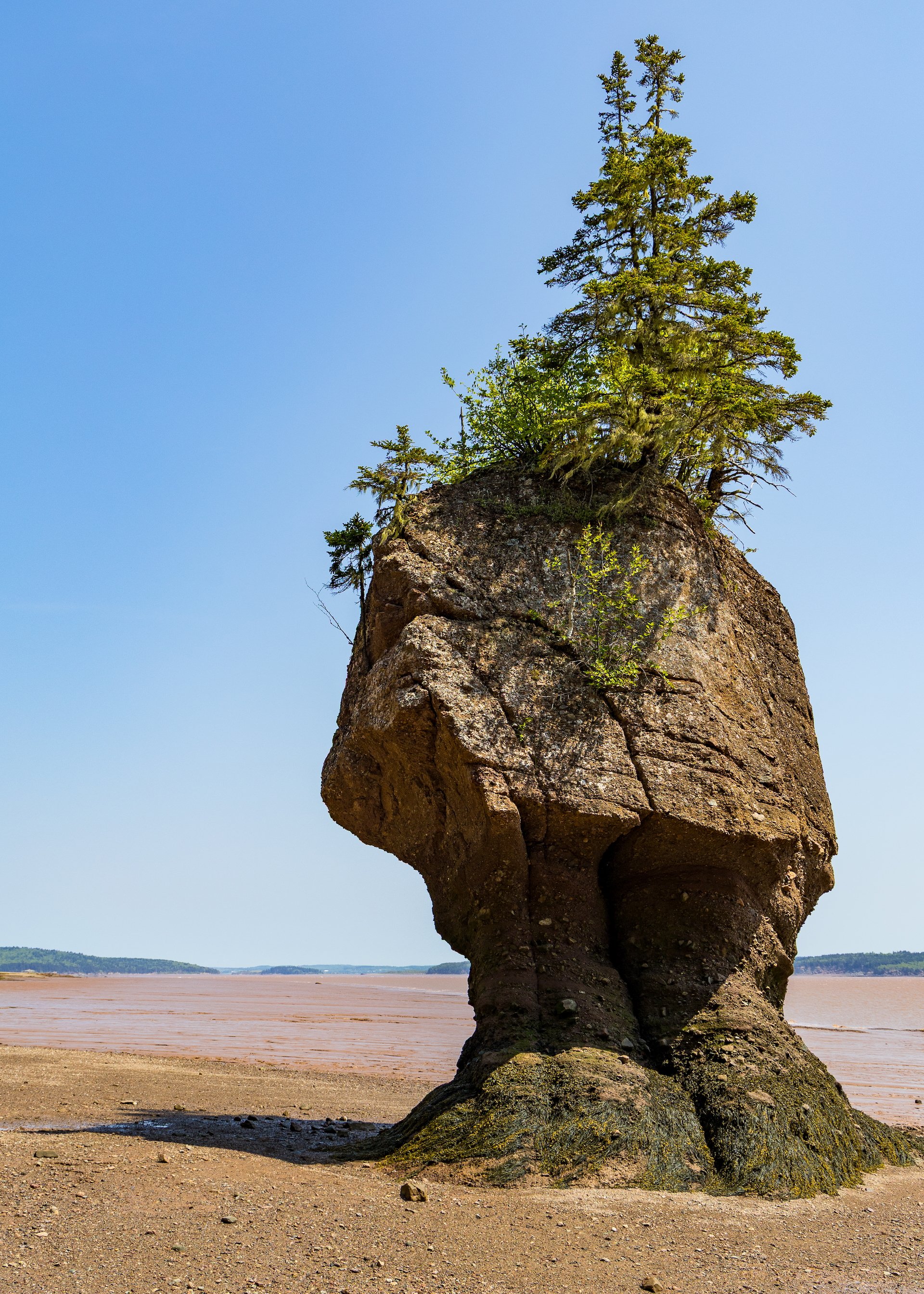 2025 06 Bay of Fundy - 39.jpeg