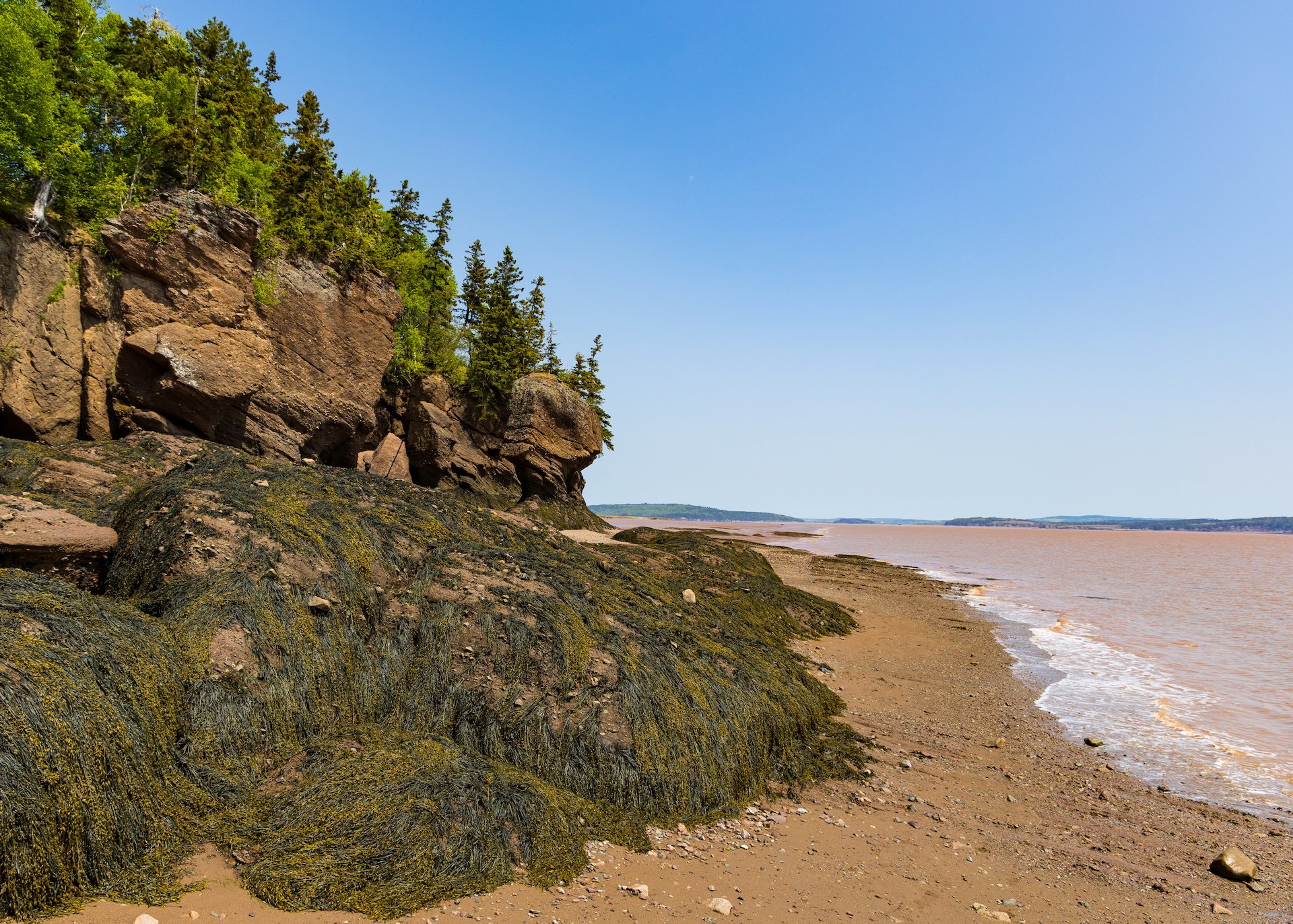 2025 06 Bay of Fundy - 46.jpeg