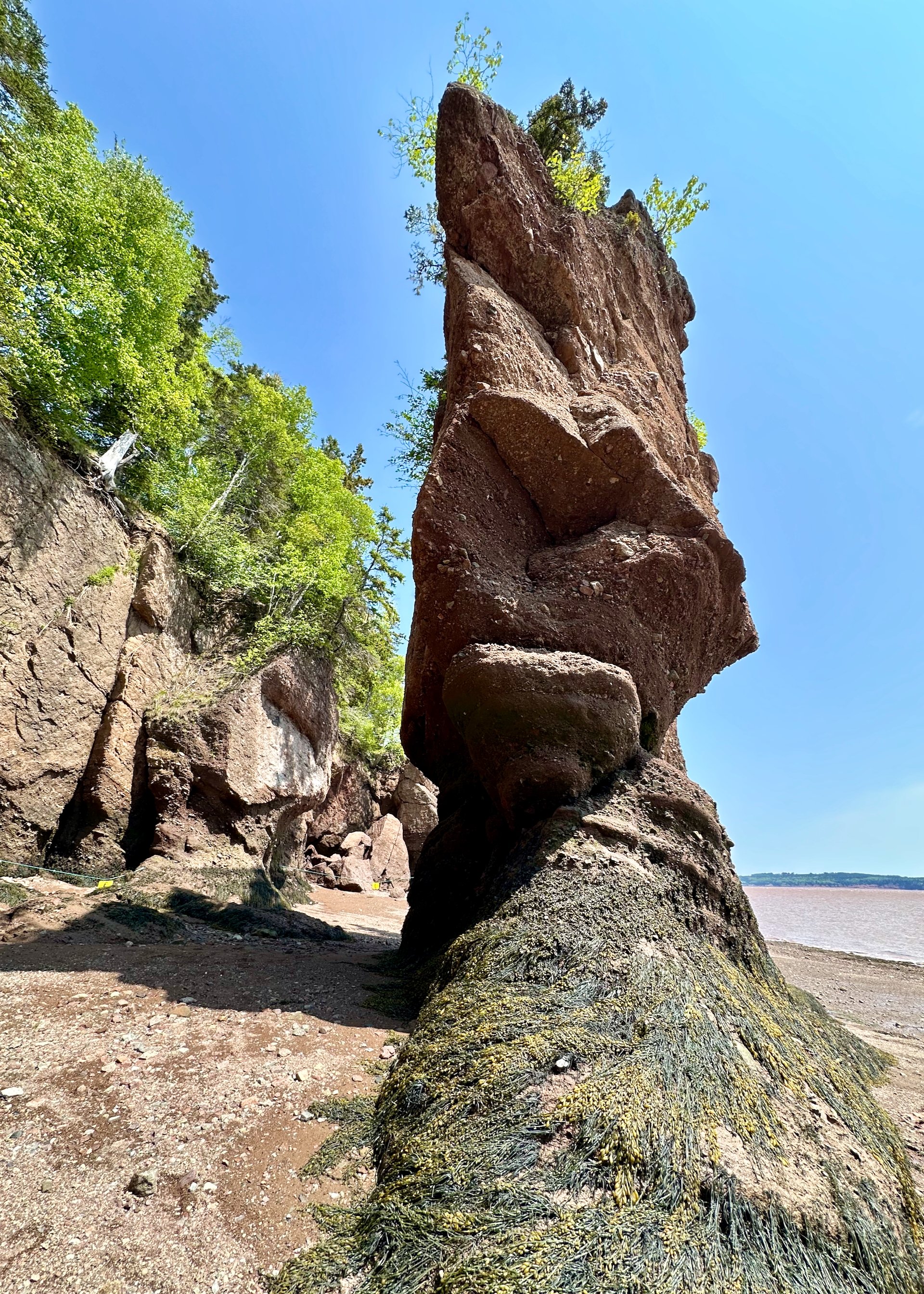 2025 06 Bay of Fundy - 45.jpeg