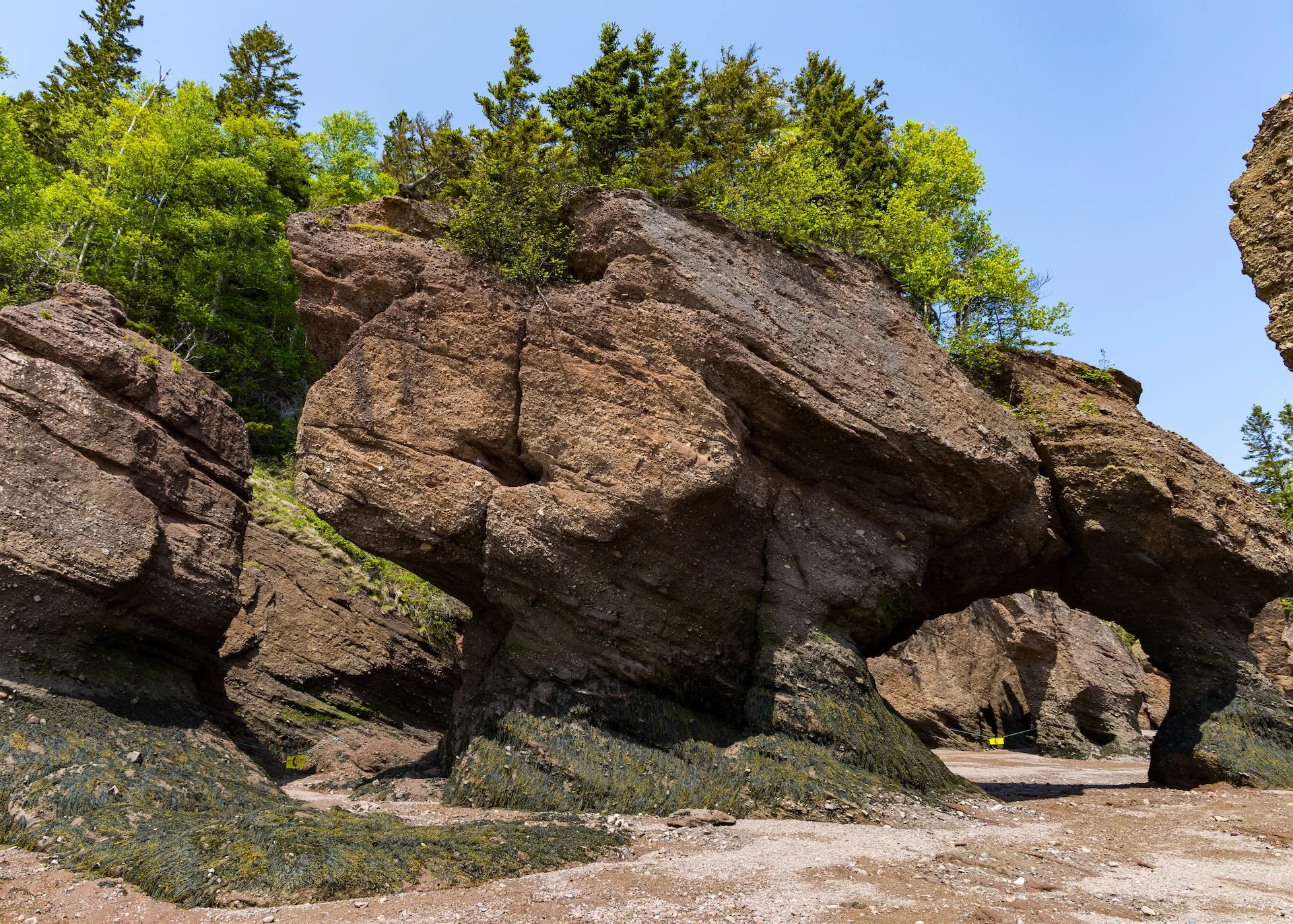2025 06 Bay of Fundy - 56.jpeg