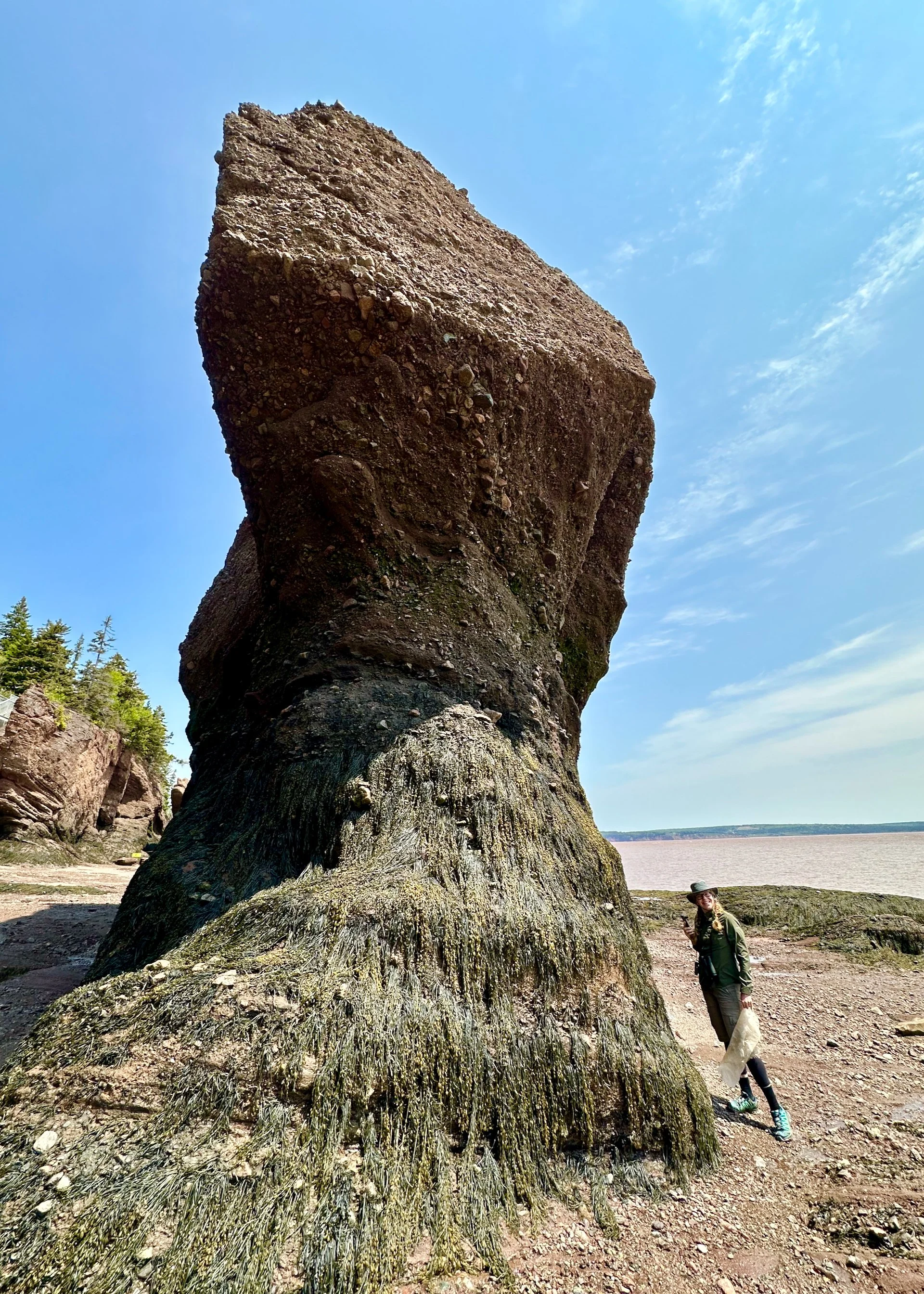 2025 06 Bay of Fundy - 57.jpeg