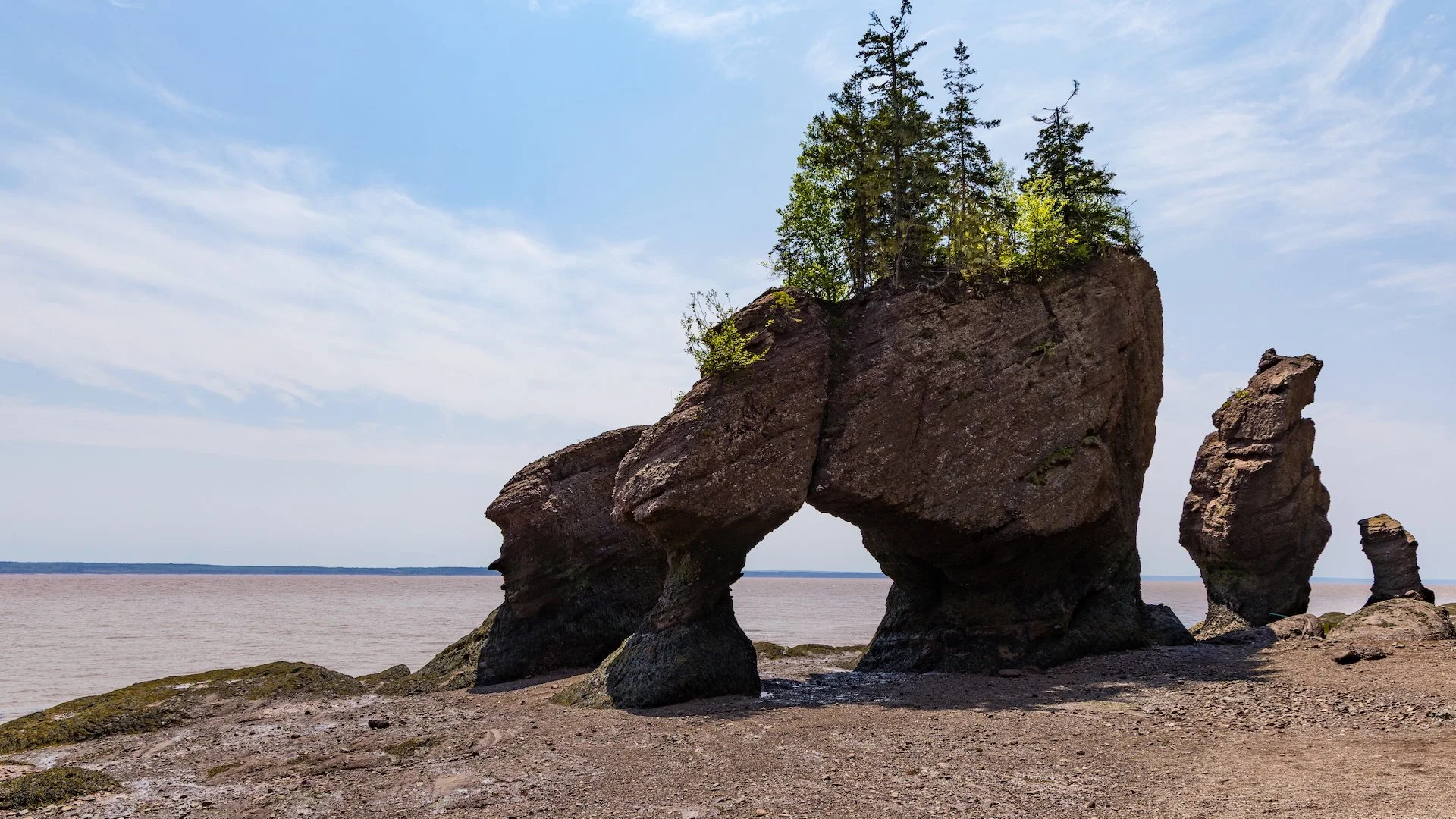 2025 06 Bay of Fundy - 58.jpeg