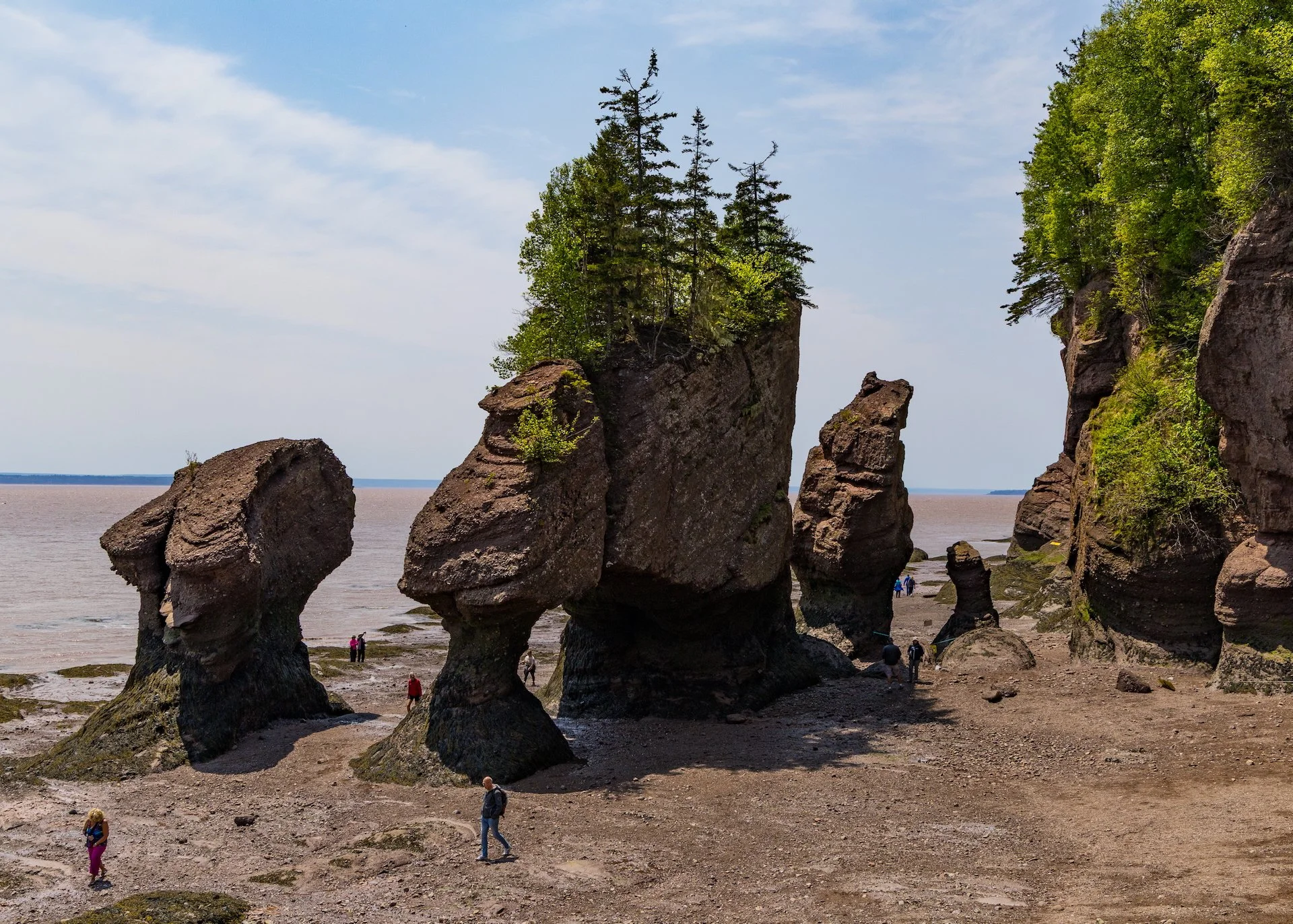 2025 06 Bay of Fundy - 59.jpeg