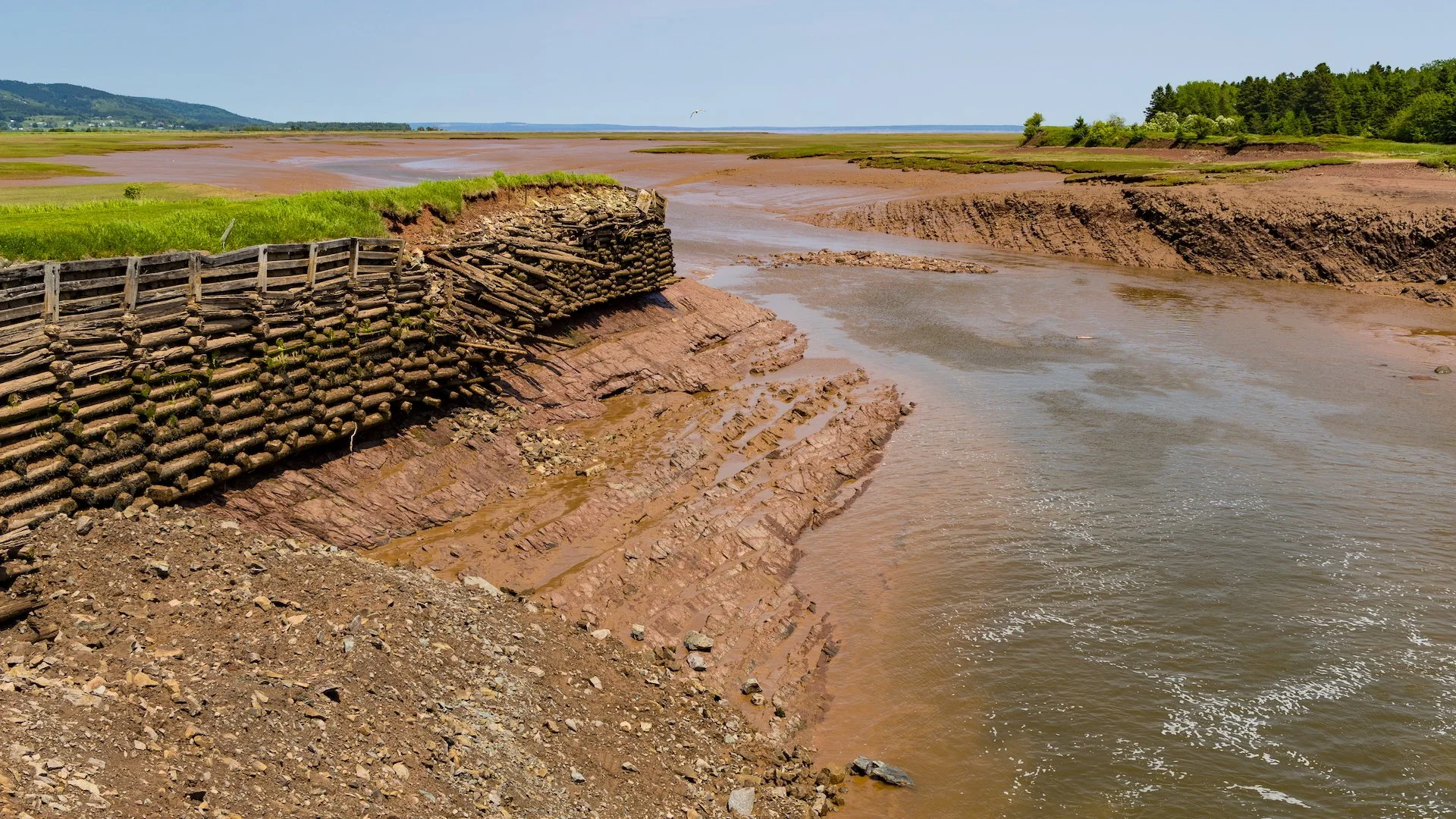 2025 06 Bay of Fundy - 74.jpeg