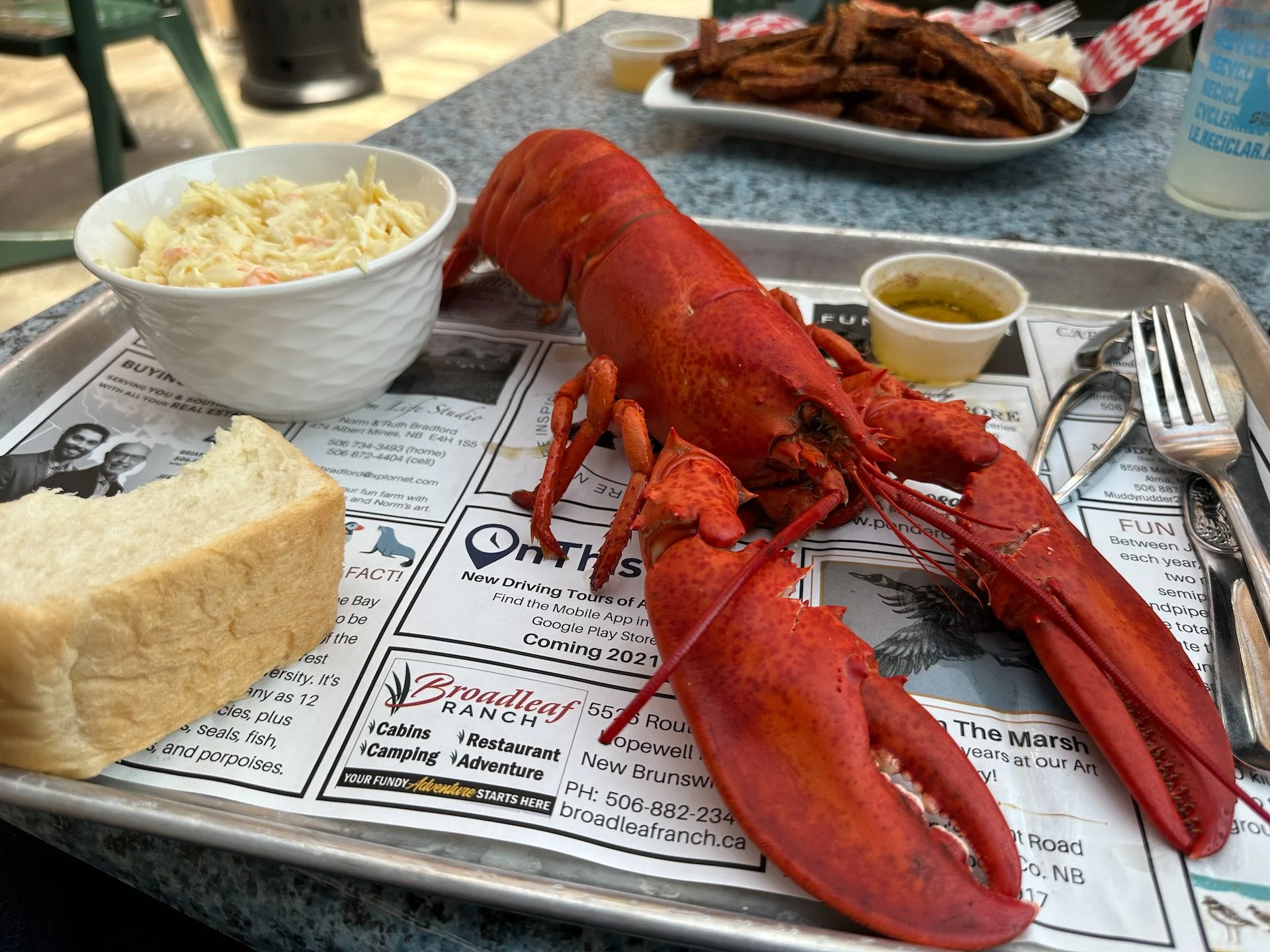  My 1 pound lobster. I had the choice of 1, 2 or 3 lbs. Crazy. 