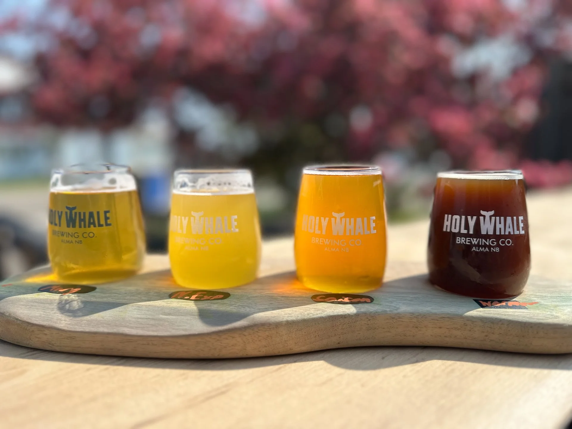  It was a solid flight of beer, enjoying the afternoon sunshine.  