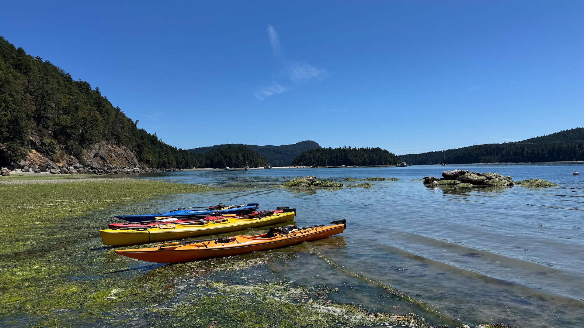  Before heading back, we pulled up on a “beach” and had some lunch.  
