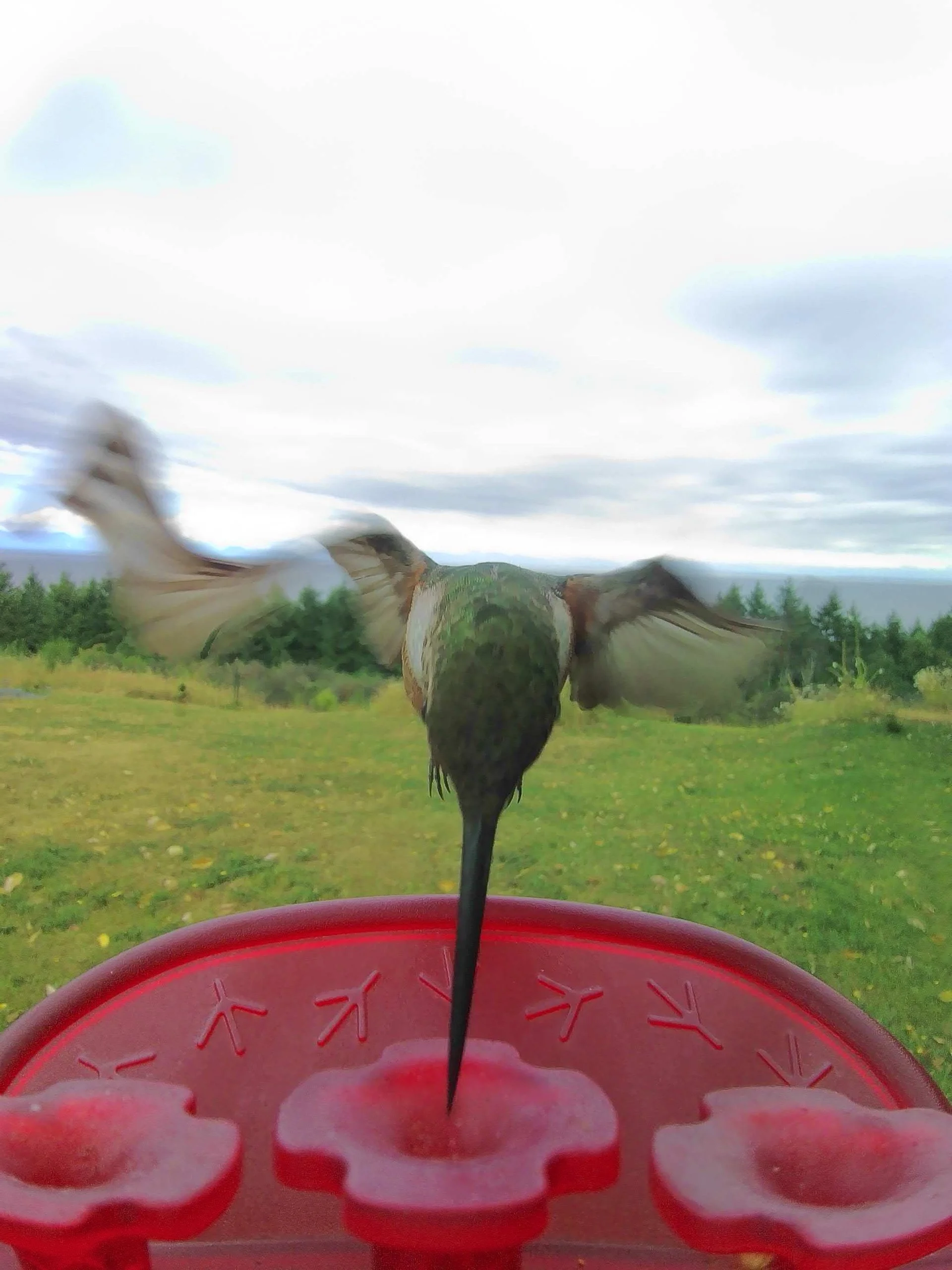 2025 07 Galiano Mark and Family - 34.jpeg