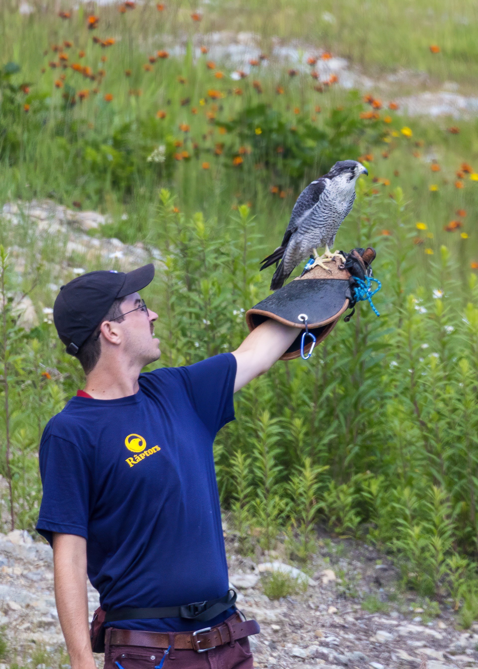 2025 07 Grouse Mountain - 32.jpeg