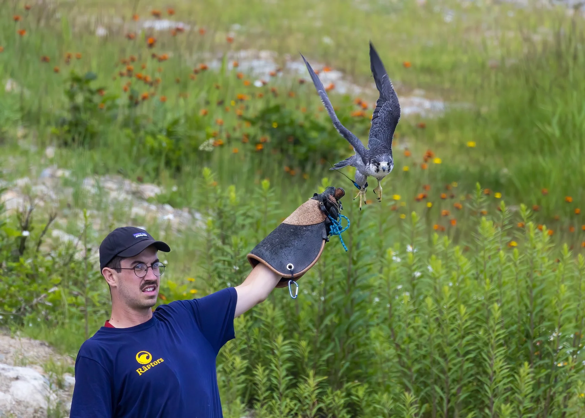 2025 07 Grouse Mountain - 33.jpeg