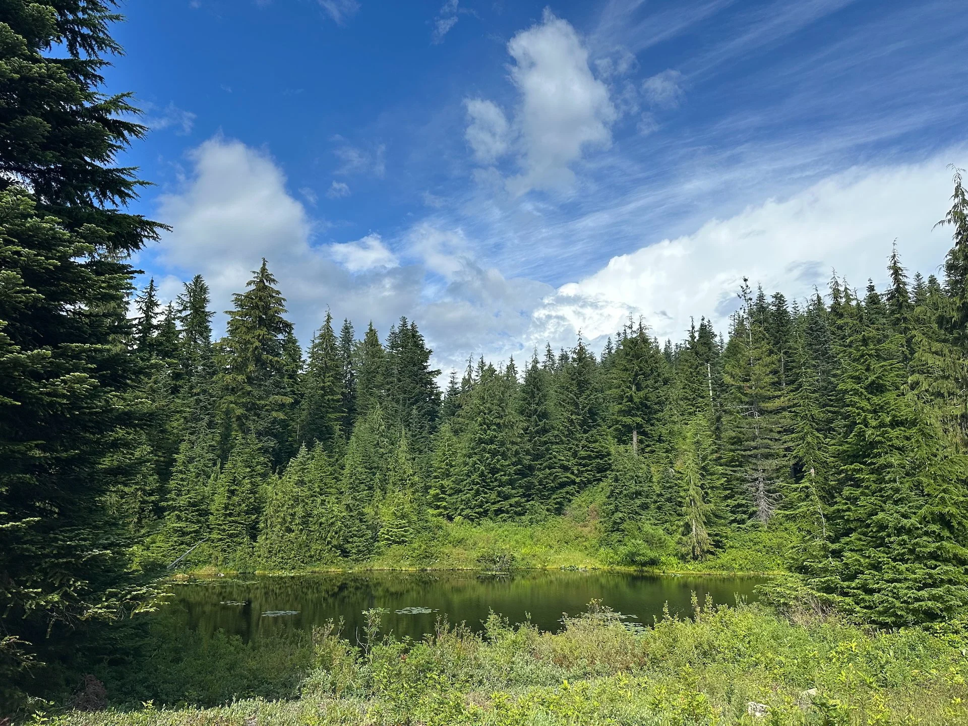 2025 07 Cypress Hike - 2.jpeg