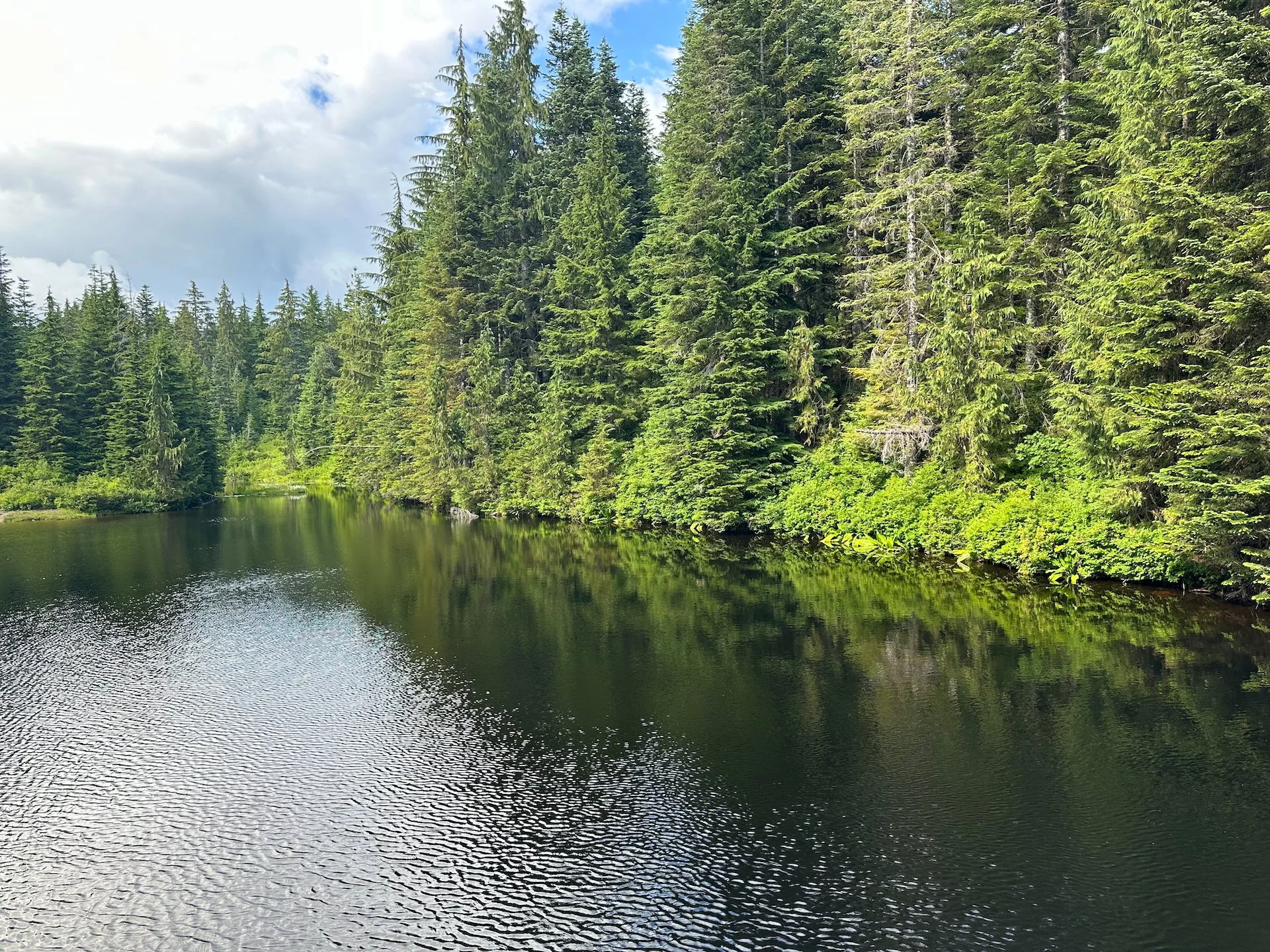 2025 07 Cypress Hike - 4.jpeg