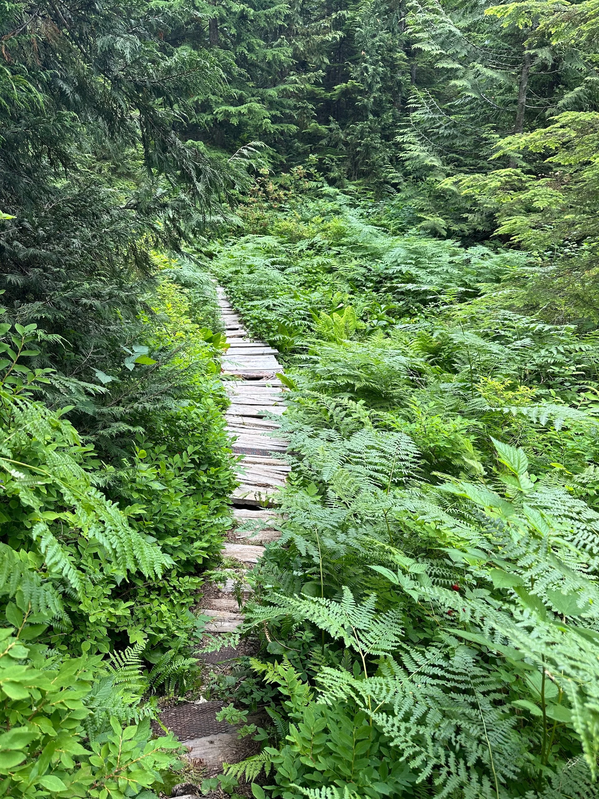 2025 07 Cypress Hike - 7.jpeg