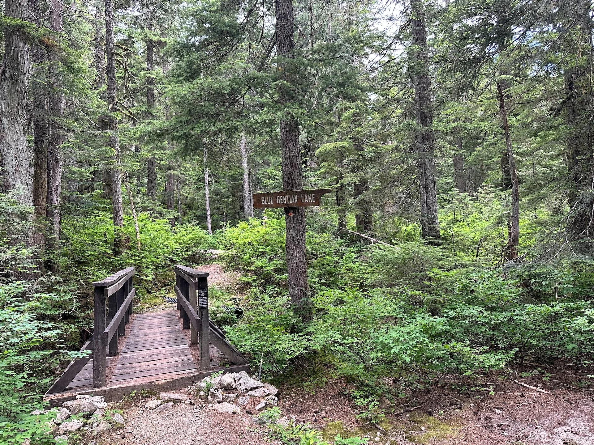 2025 07 Cypress Hike - 8.jpeg