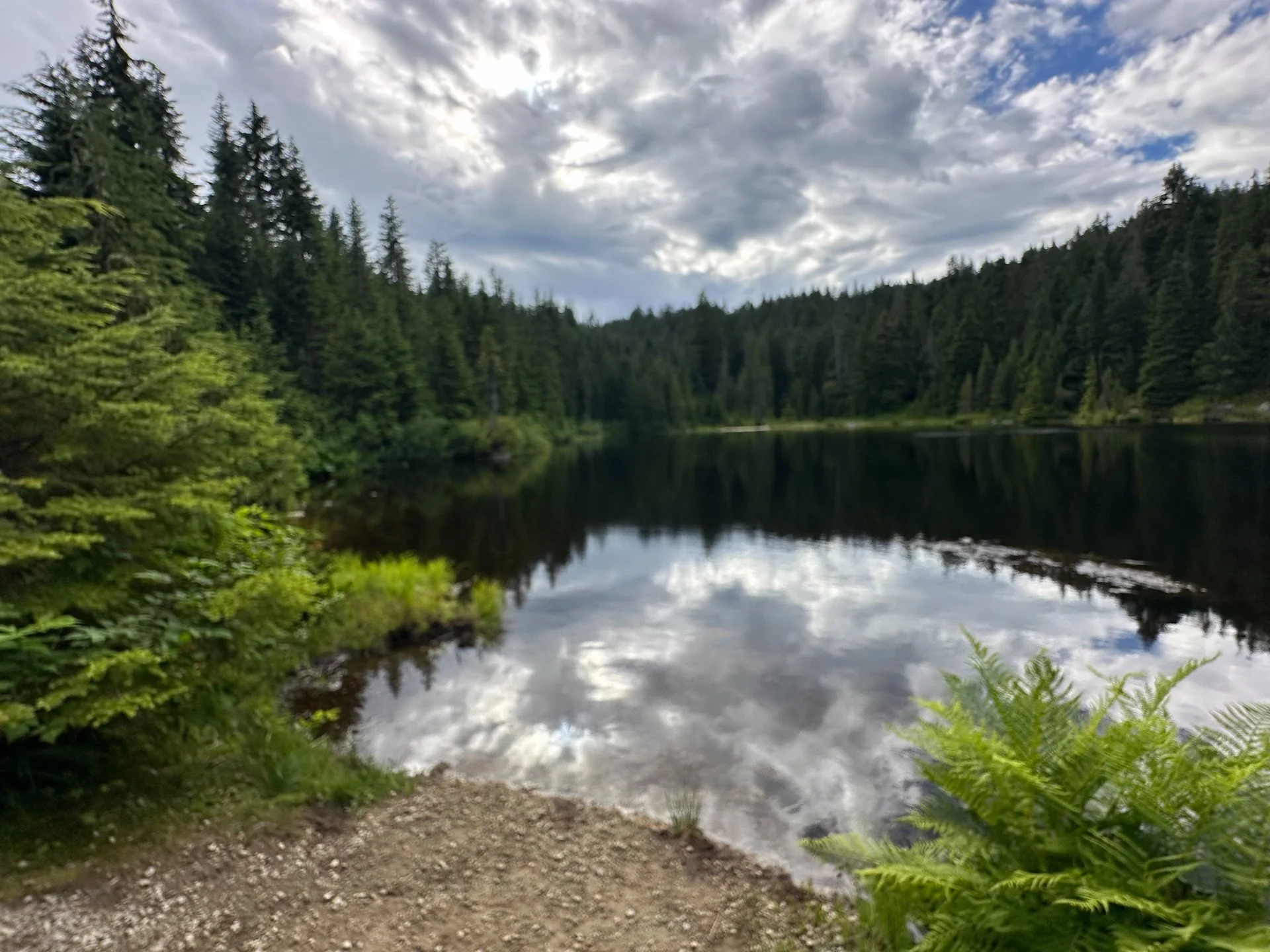 2025 07 Cypress Hike - 11.jpeg