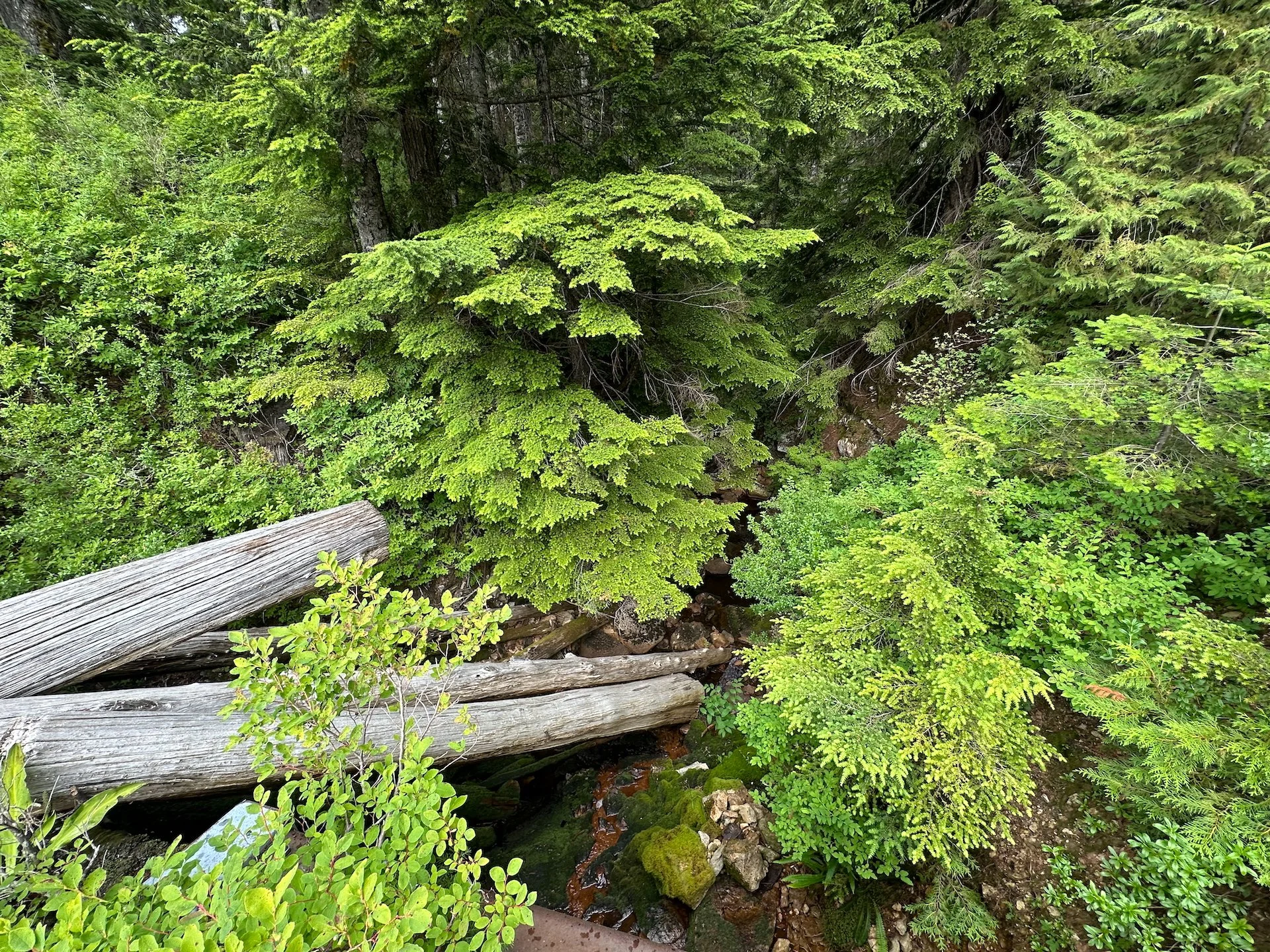  Looking down behind the damn. 