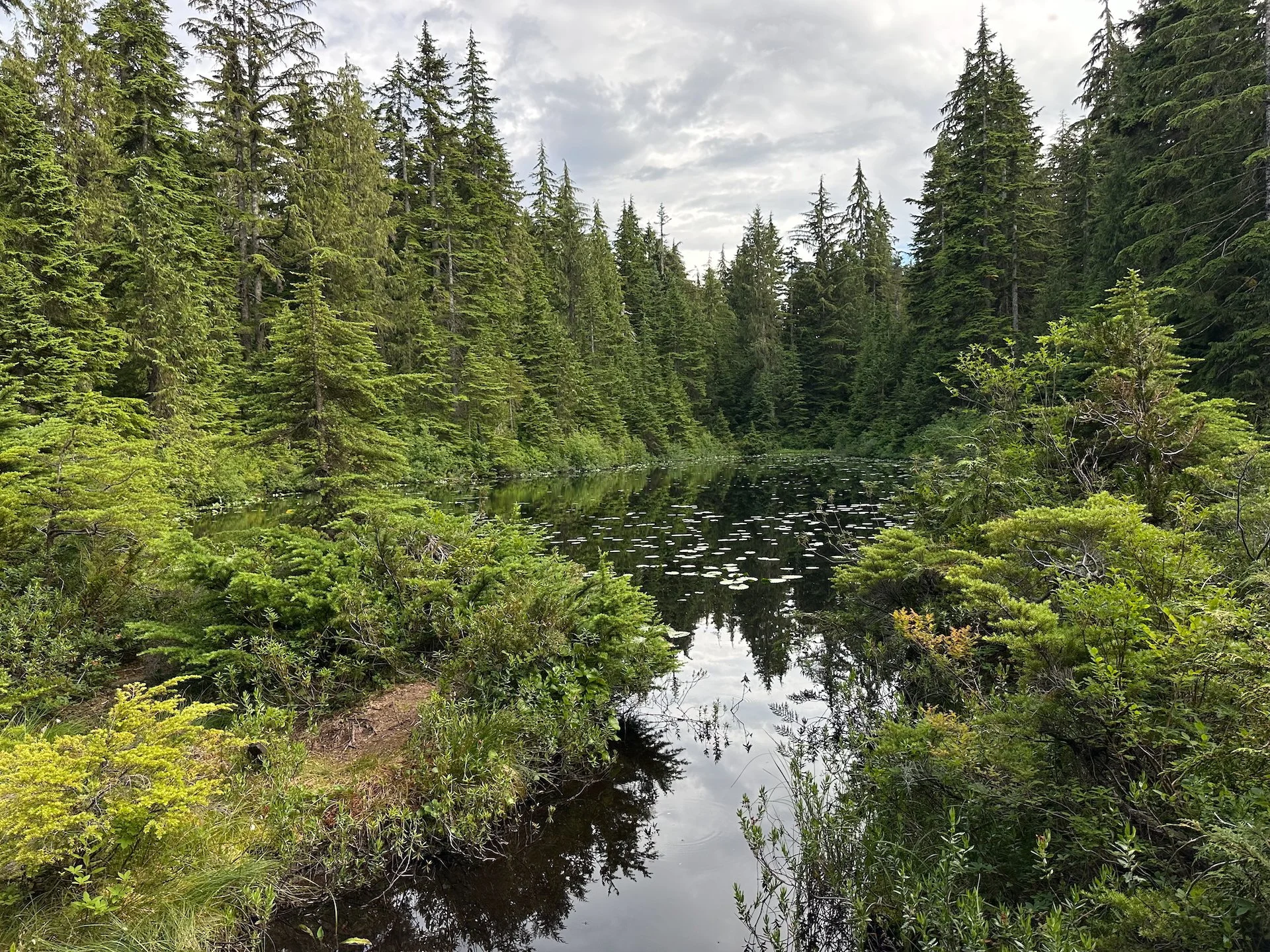 2025 07 Cypress Hike - 13.jpeg