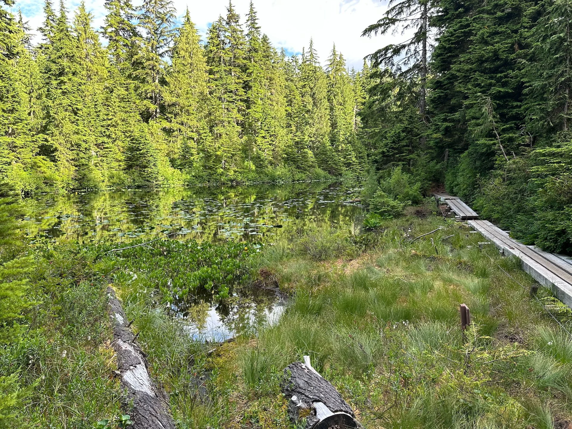  The last lake we encountered had a boardwalk around much of it.  