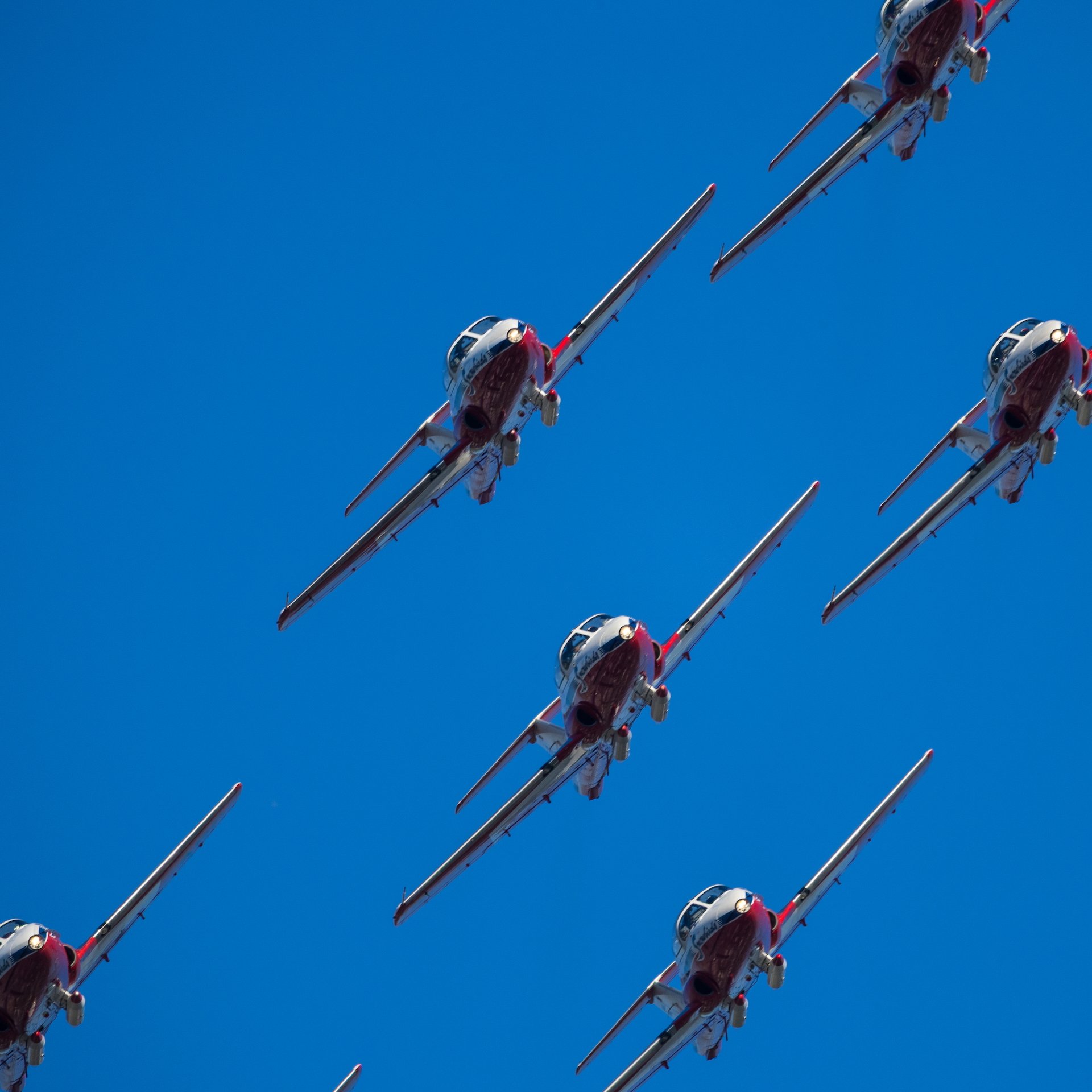 2025 07 Snowbirds - 17.jpeg