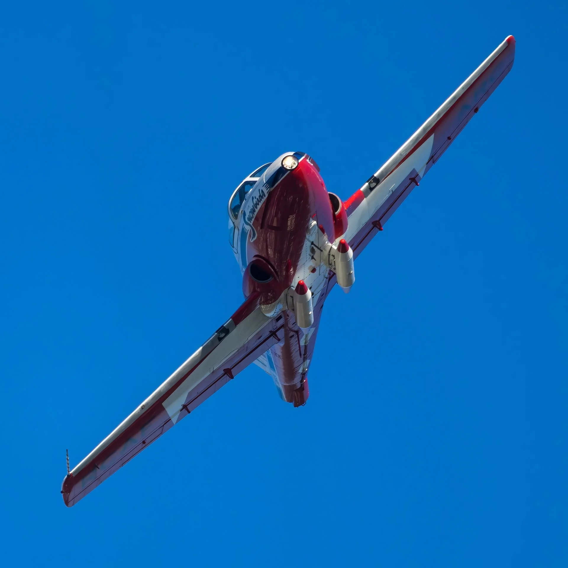 2025 07 Snowbirds - 18.jpeg