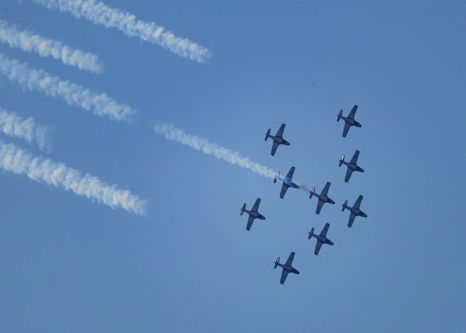 2025 07 Snowbirds - 2.jpeg