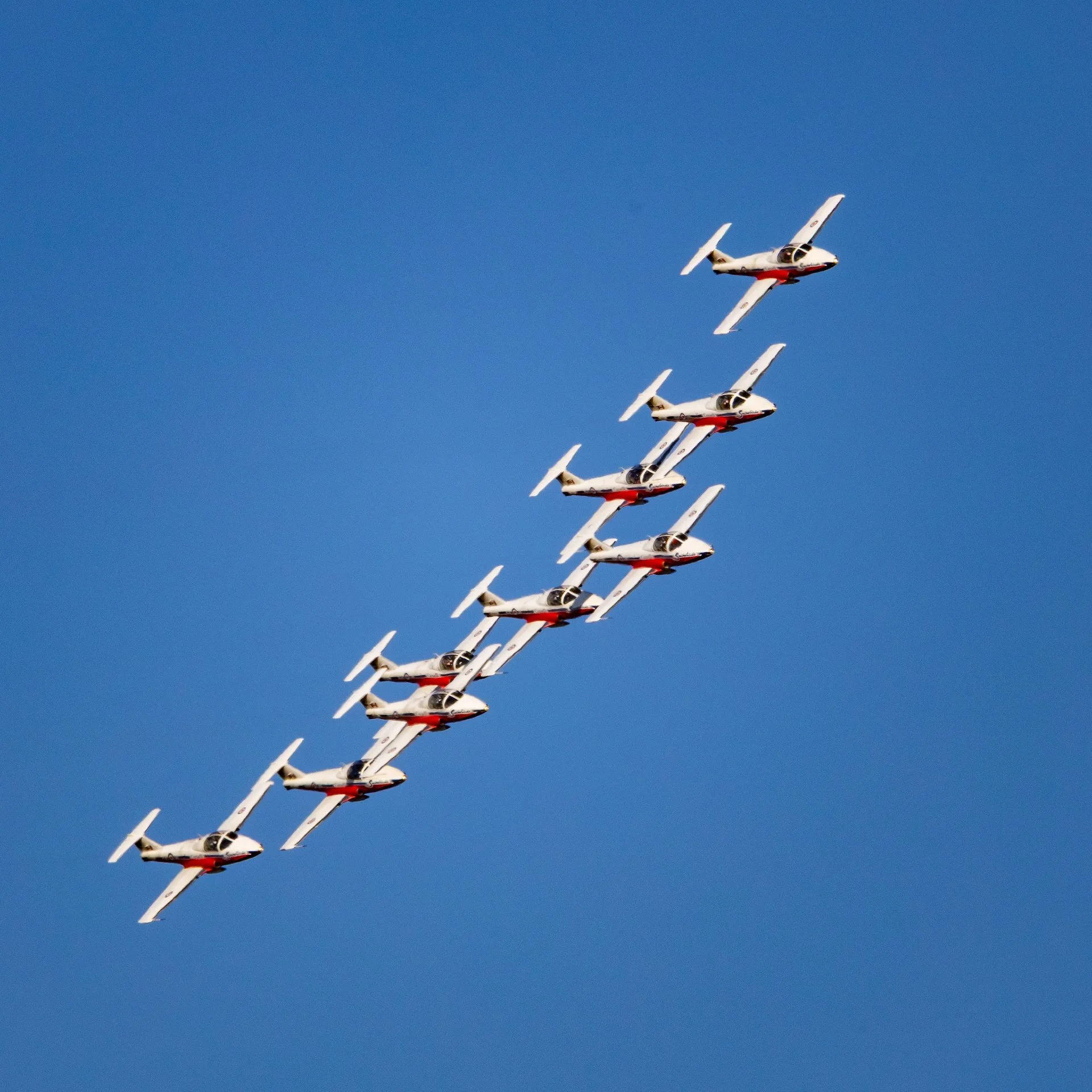 2025 07 Snowbirds - 14.jpeg