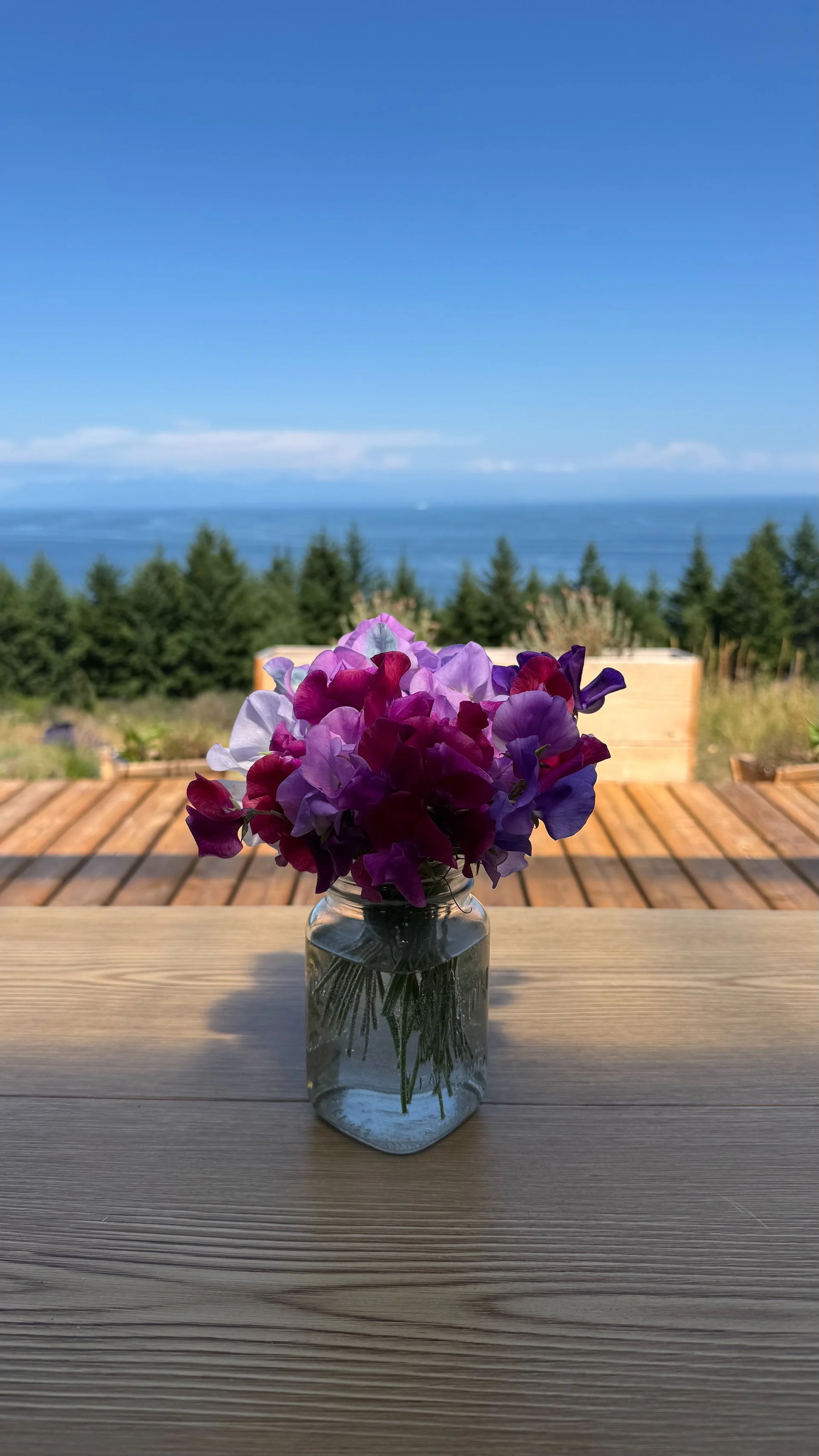 2025 07 Galiano - 8.jpeg