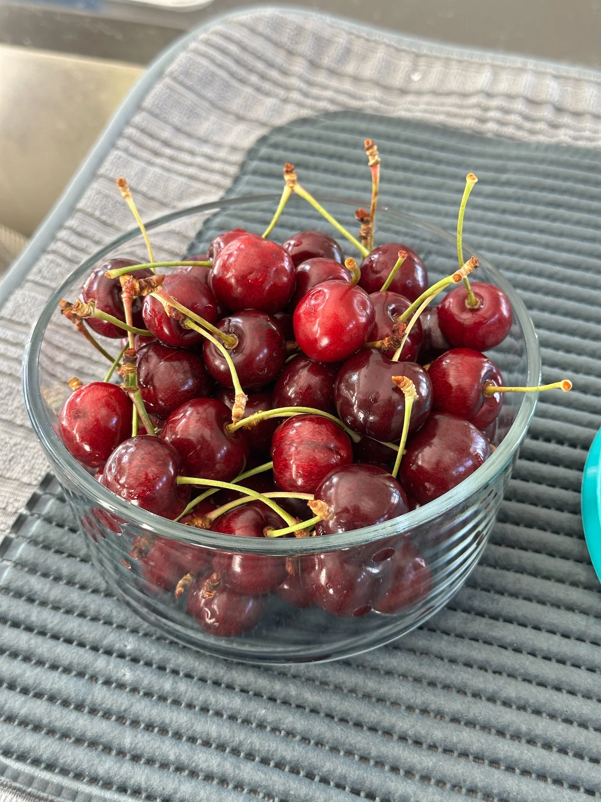  And we got a decent harvest off our cherry trees! 