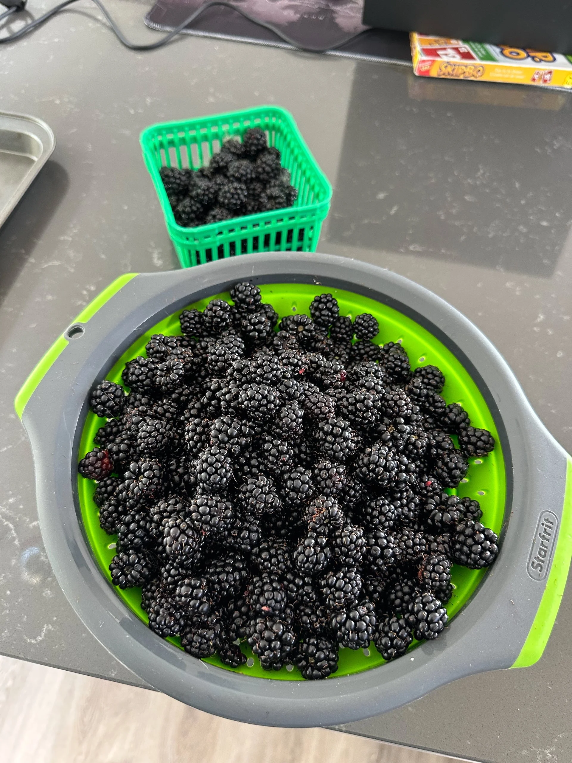  The bush is amazing. We’ve done two harvests of about this amount, and barely made a dent. We froze a good number of them. 
