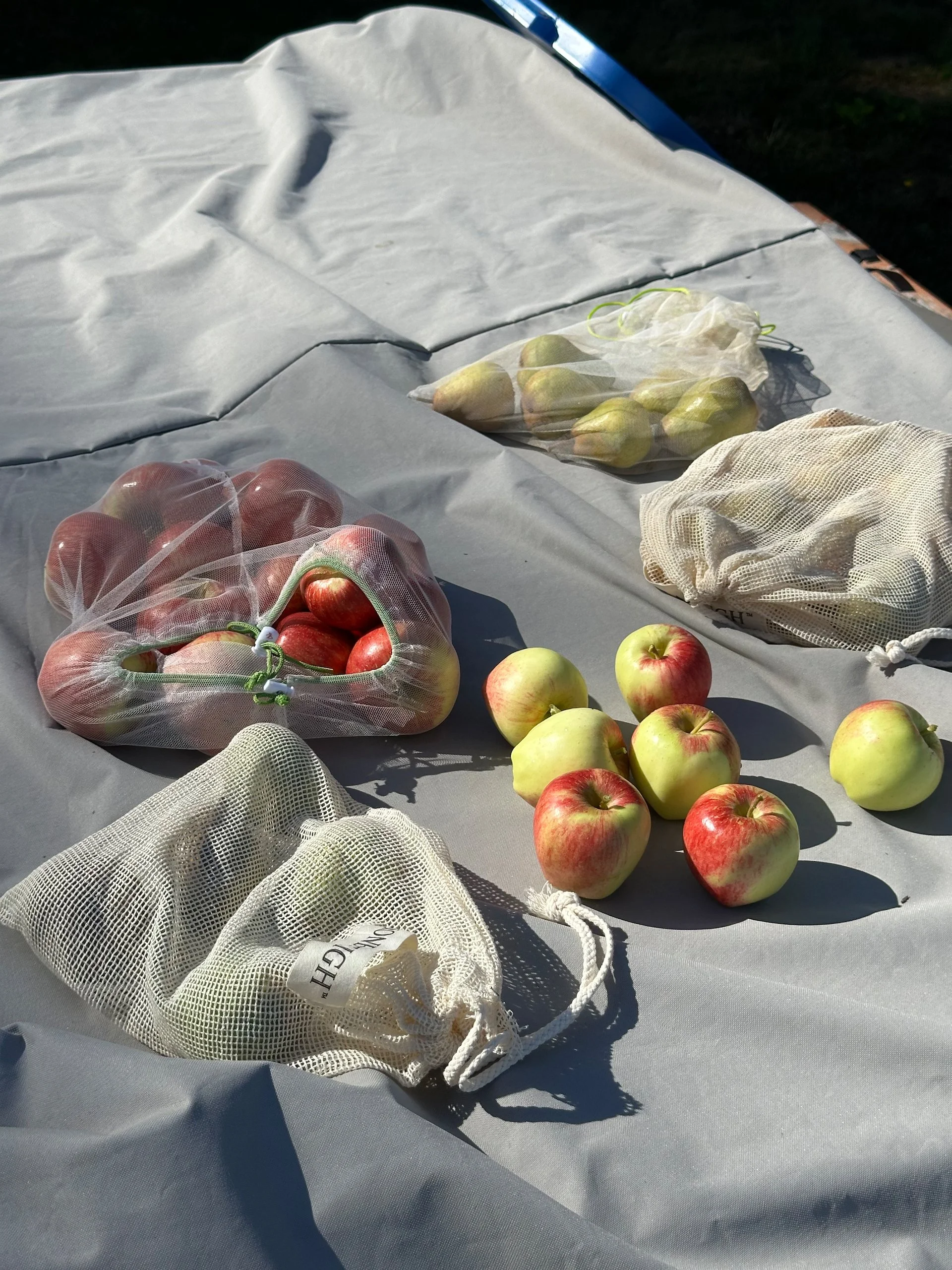  We were most excited by the fact that the orchard finally produced fruit in quantity this year. We ended up with 5 Anjou pears, probably 20 Bartlett pears, a dozen honey crisp apples (about ½ what’s on the tree)  and a half dozen Ambrosia apples. Th