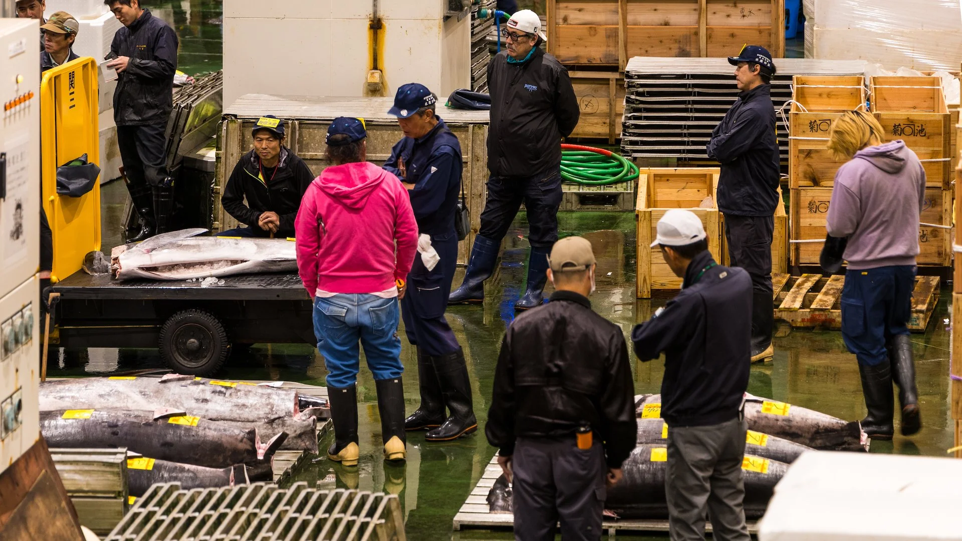  This was a pretty typical scene. A bunch of purchasers inspecting tuna, waiting for an auctioneer to come over and start the process on a set of fish. 