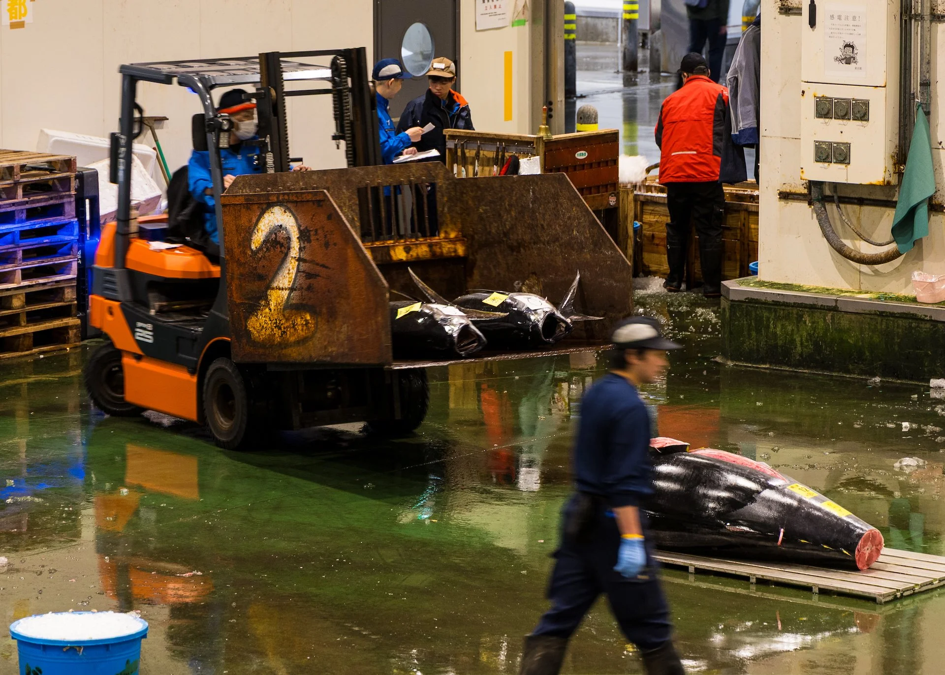  …and others were so big they needed fork lifts! 