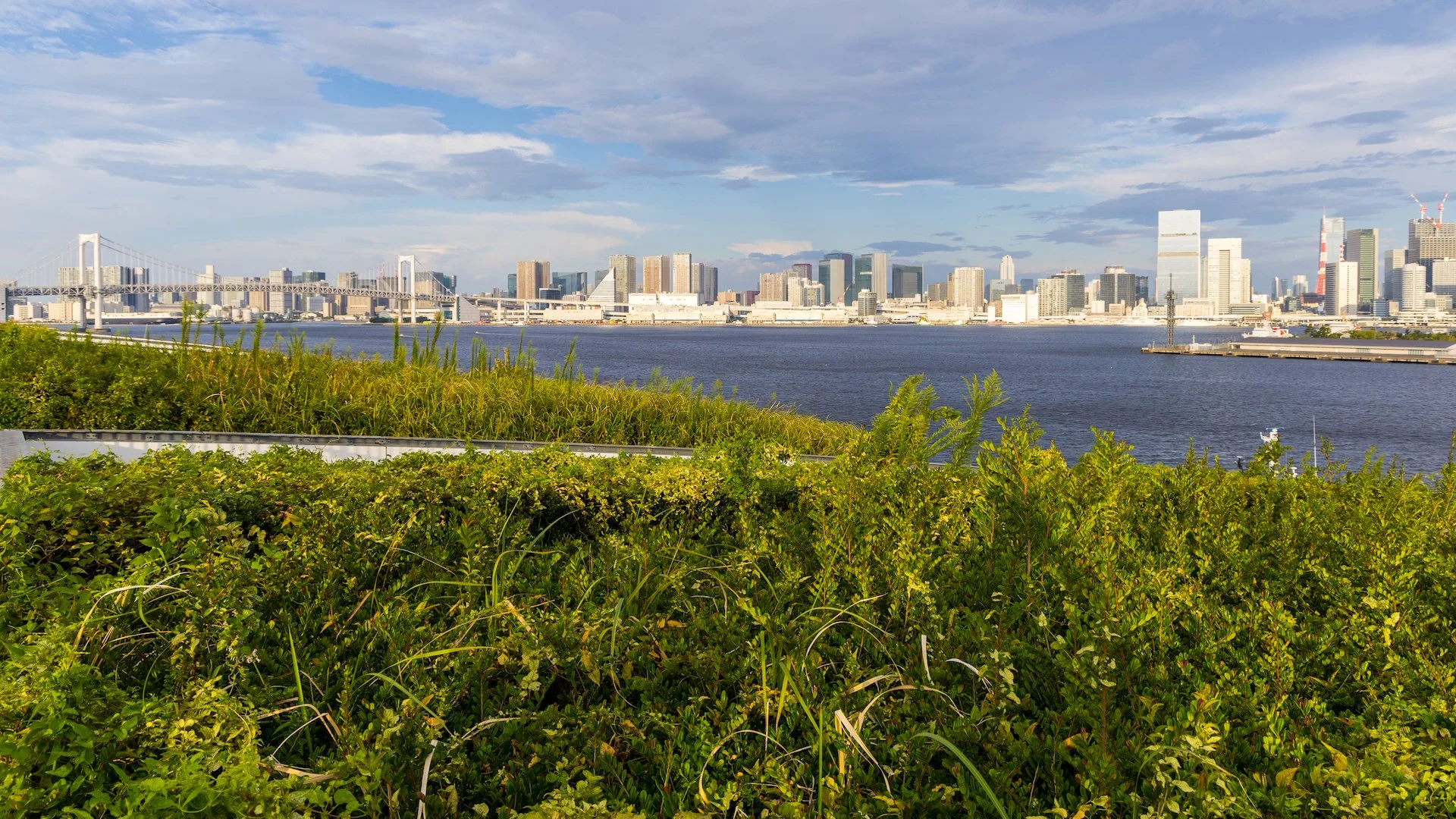  It was really our first chance to see much of the Tokyo skyline and get our bearings. 