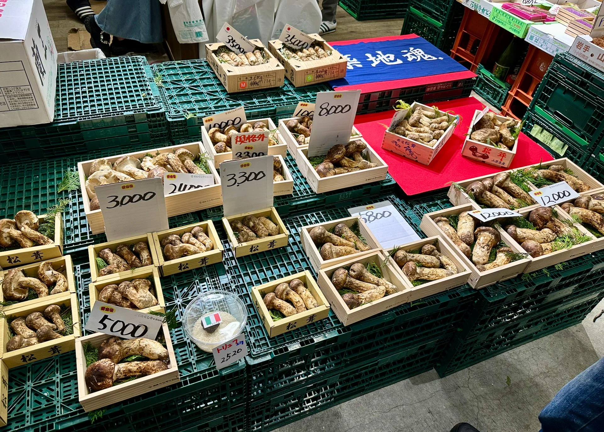  The market had more than fish - including some amazing mushrooms. 