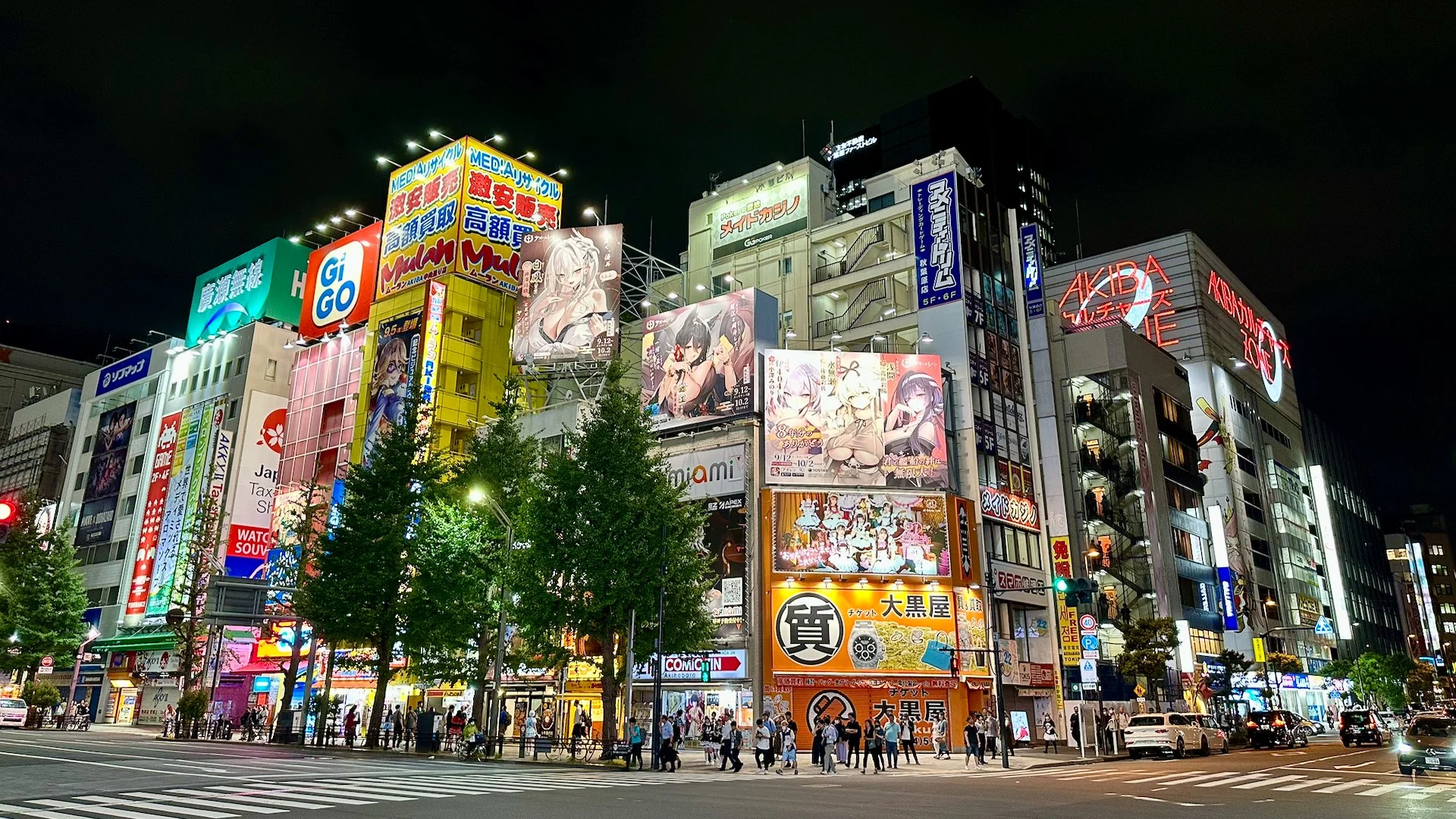  The magical insanity of Akihabara 