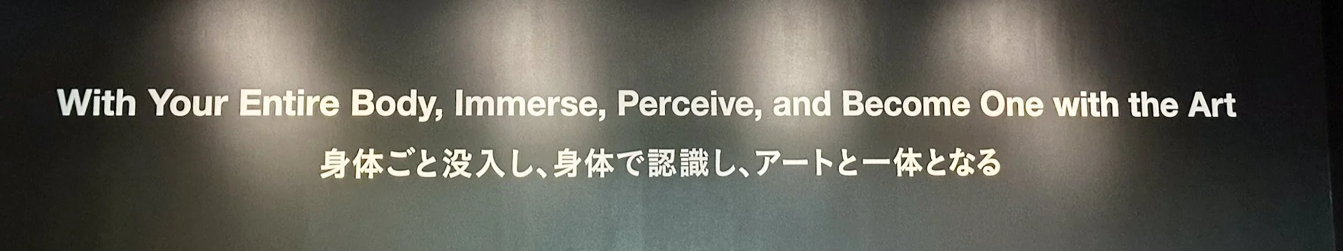 2025 10 Tokyo TeamLab - 2.jpeg