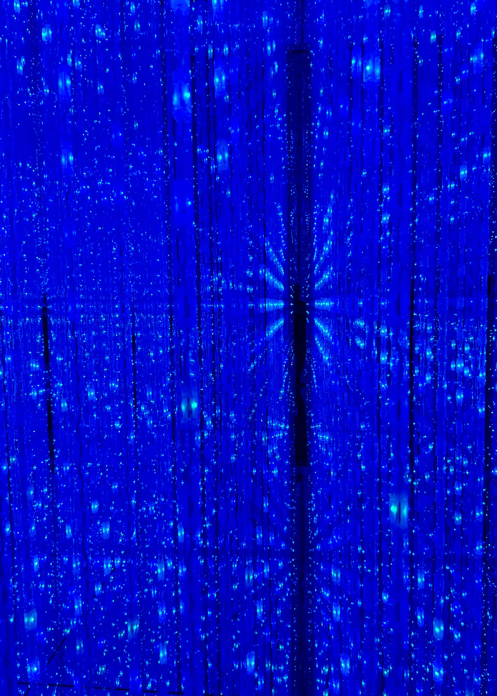 2025 10 Tokyo TeamLab - 5.jpeg