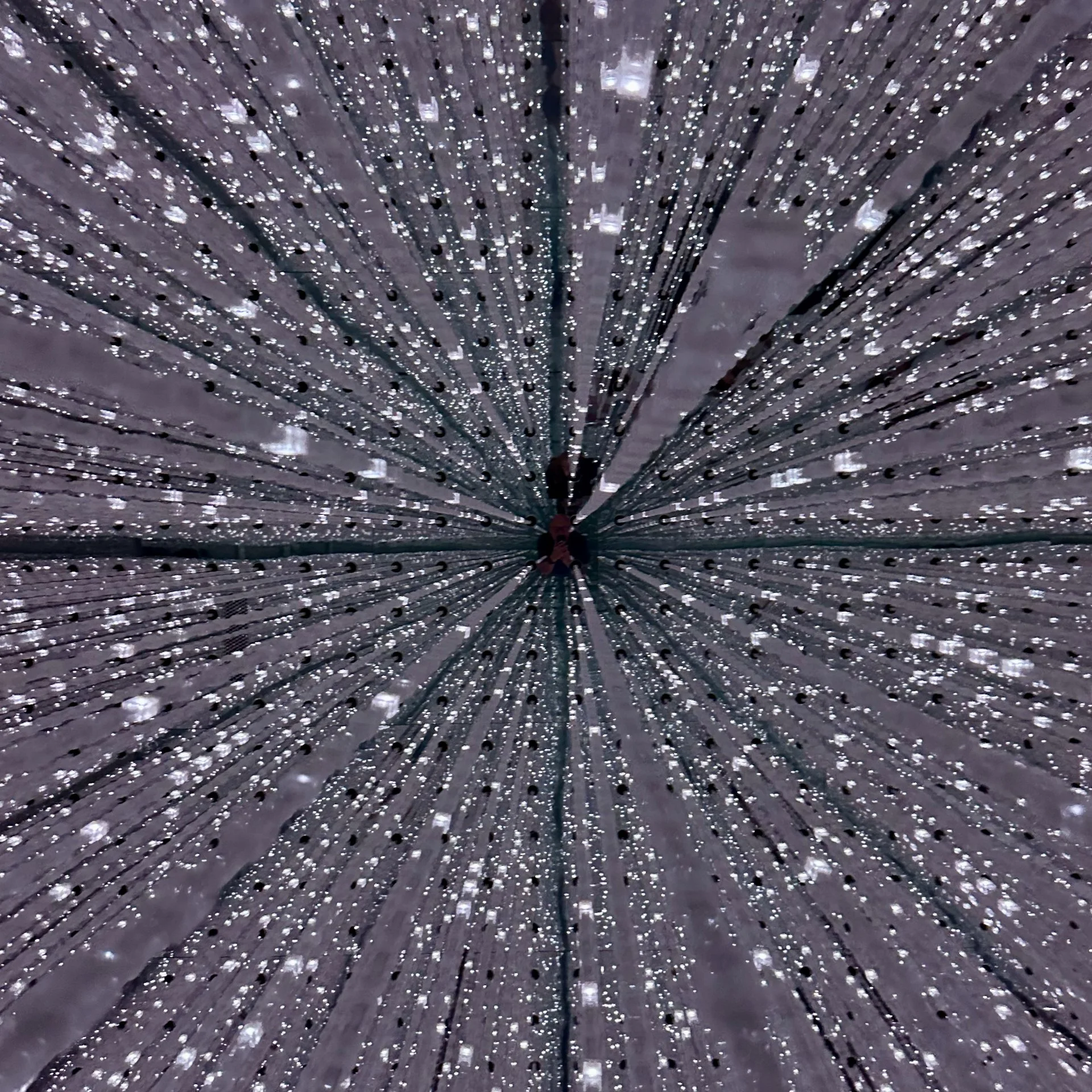 2025 10 Tokyo TeamLab - 6.jpeg