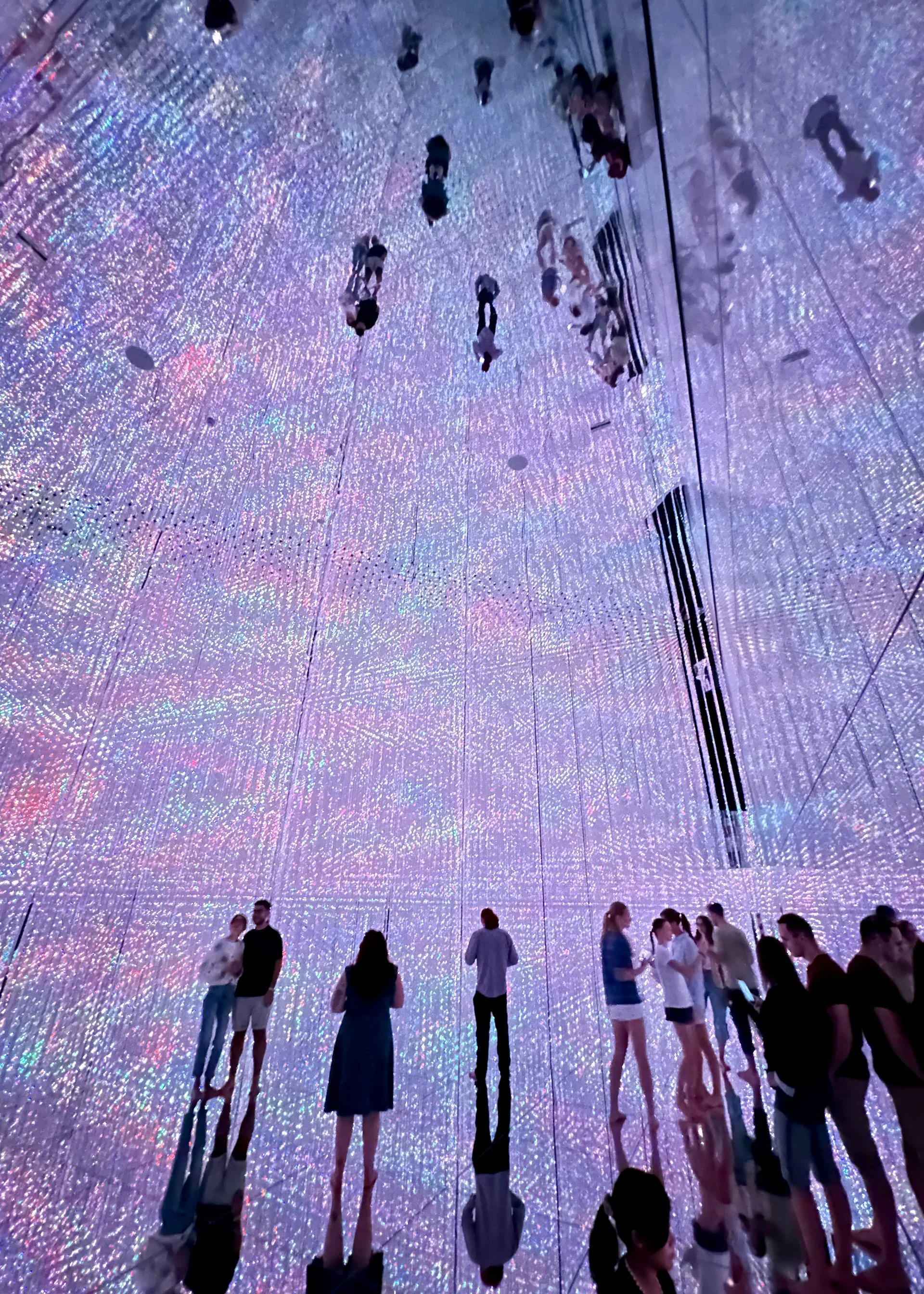 2025 10 Tokyo TeamLab - 9.jpeg