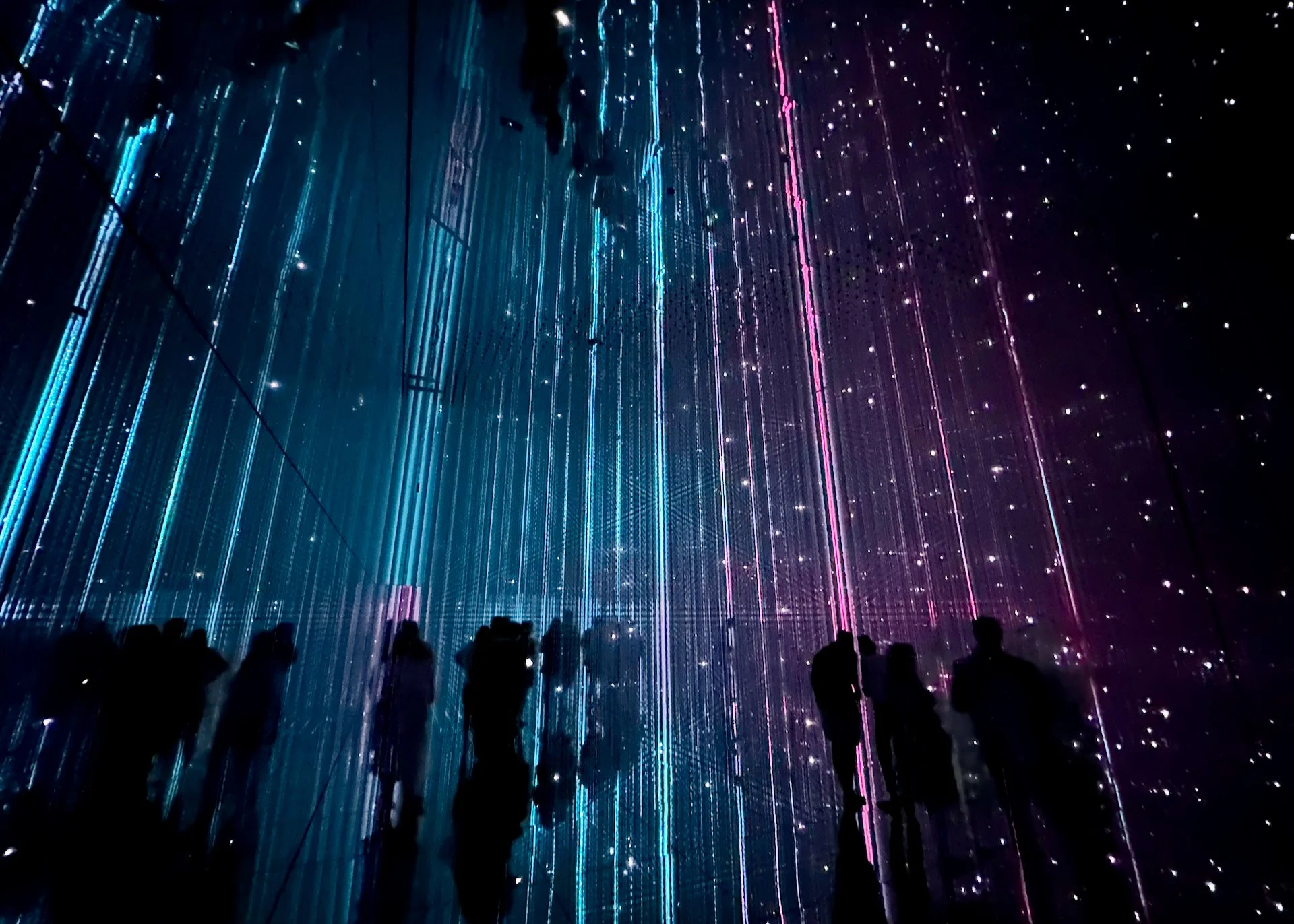 2025 10 Tokyo TeamLab - 8.jpeg