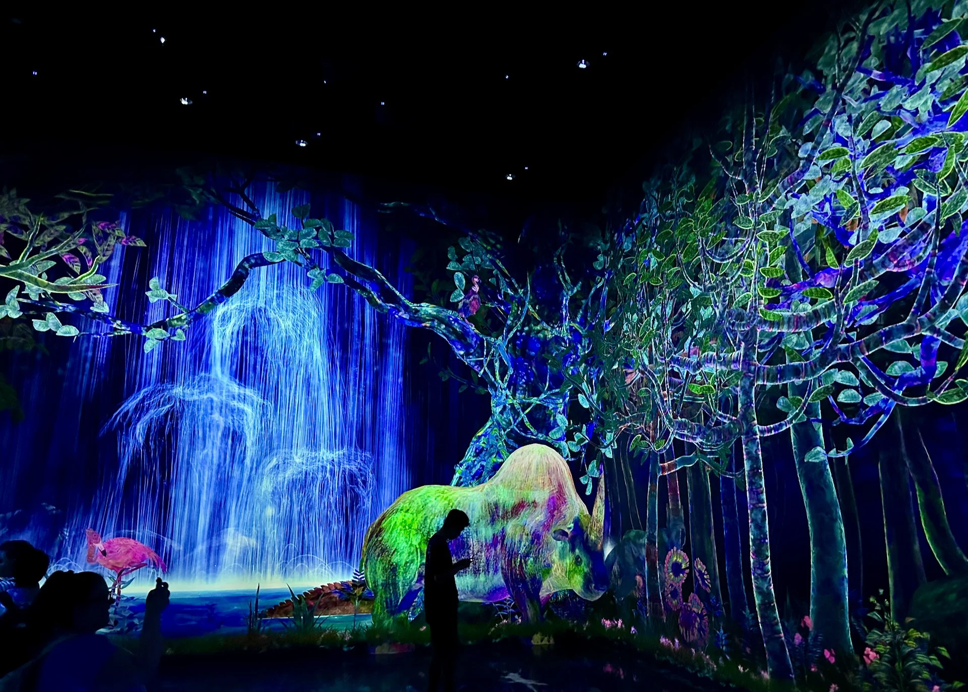 2025 10 Tokyo TeamLab - 16.jpeg