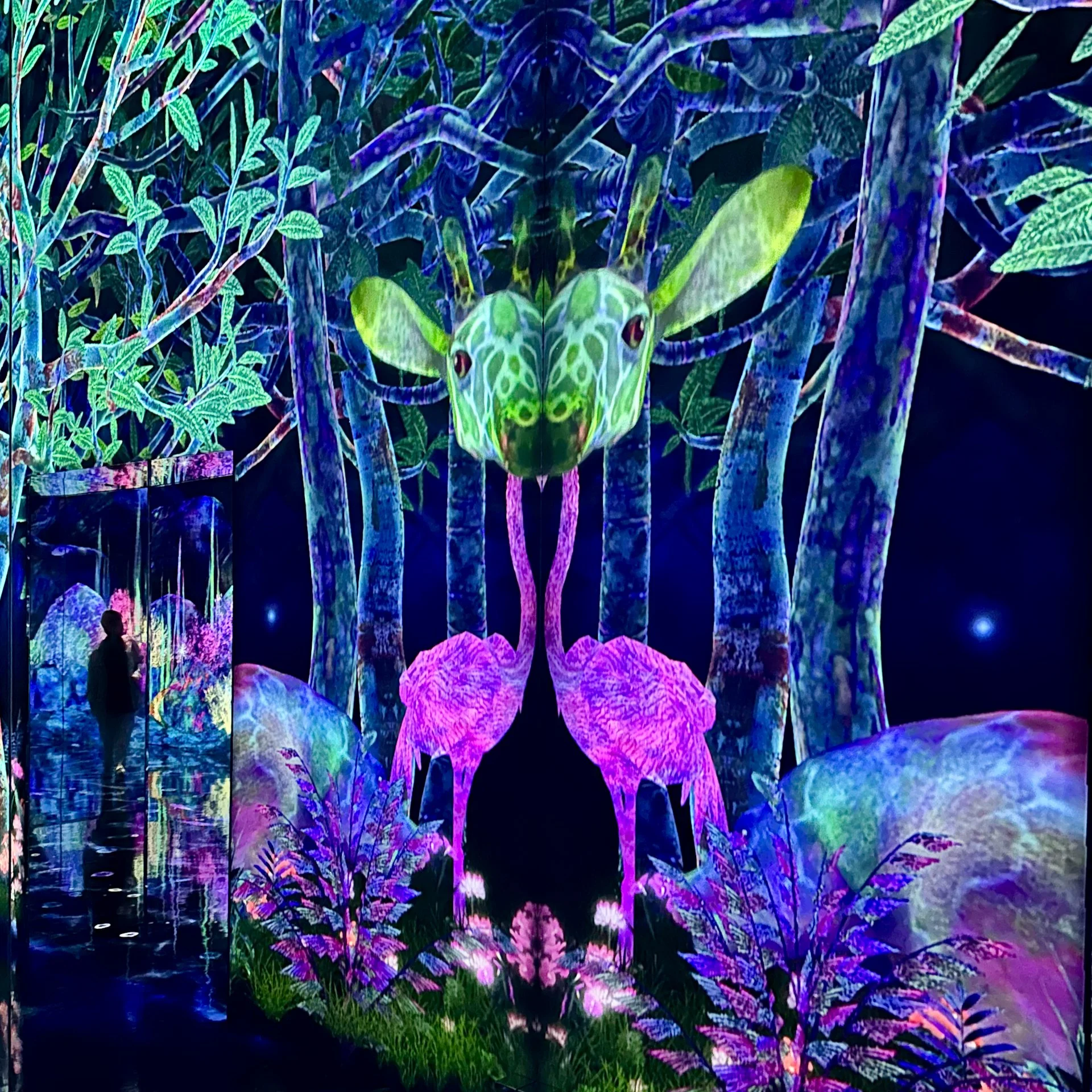 2025 10 Tokyo TeamLab - 17.jpeg