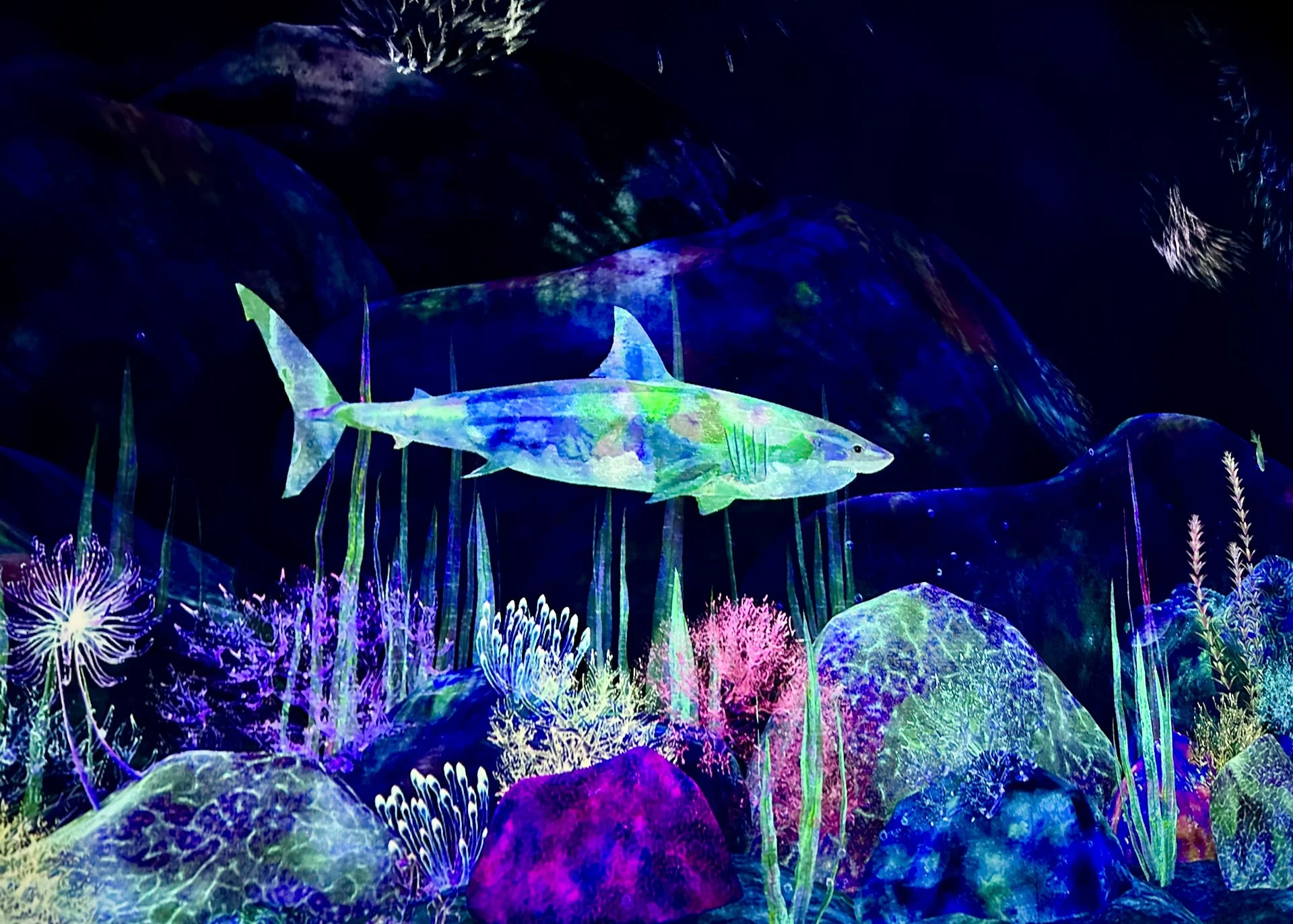 2025 10 Tokyo TeamLab - 18.jpeg