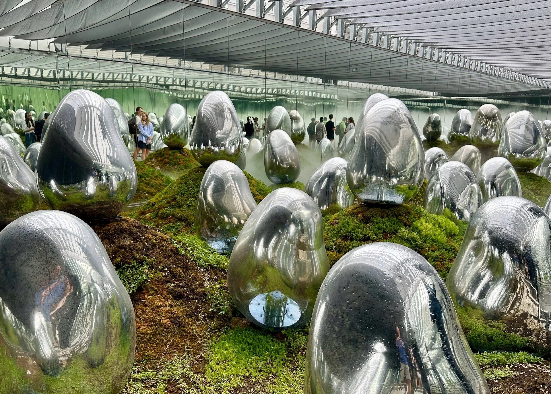 2025 10 Tokyo TeamLab - 21.jpeg