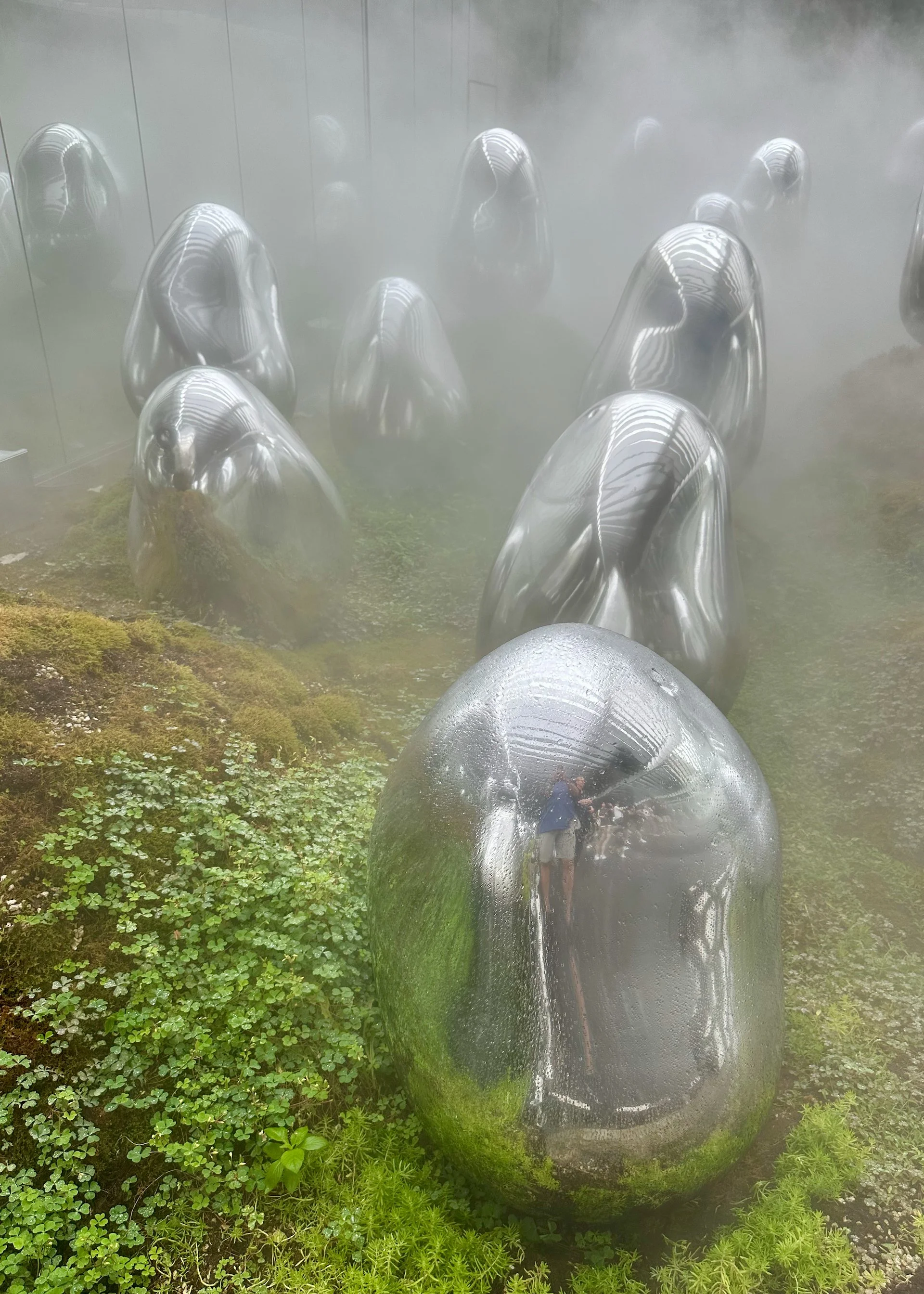 2025 10 Tokyo TeamLab - 23.jpeg