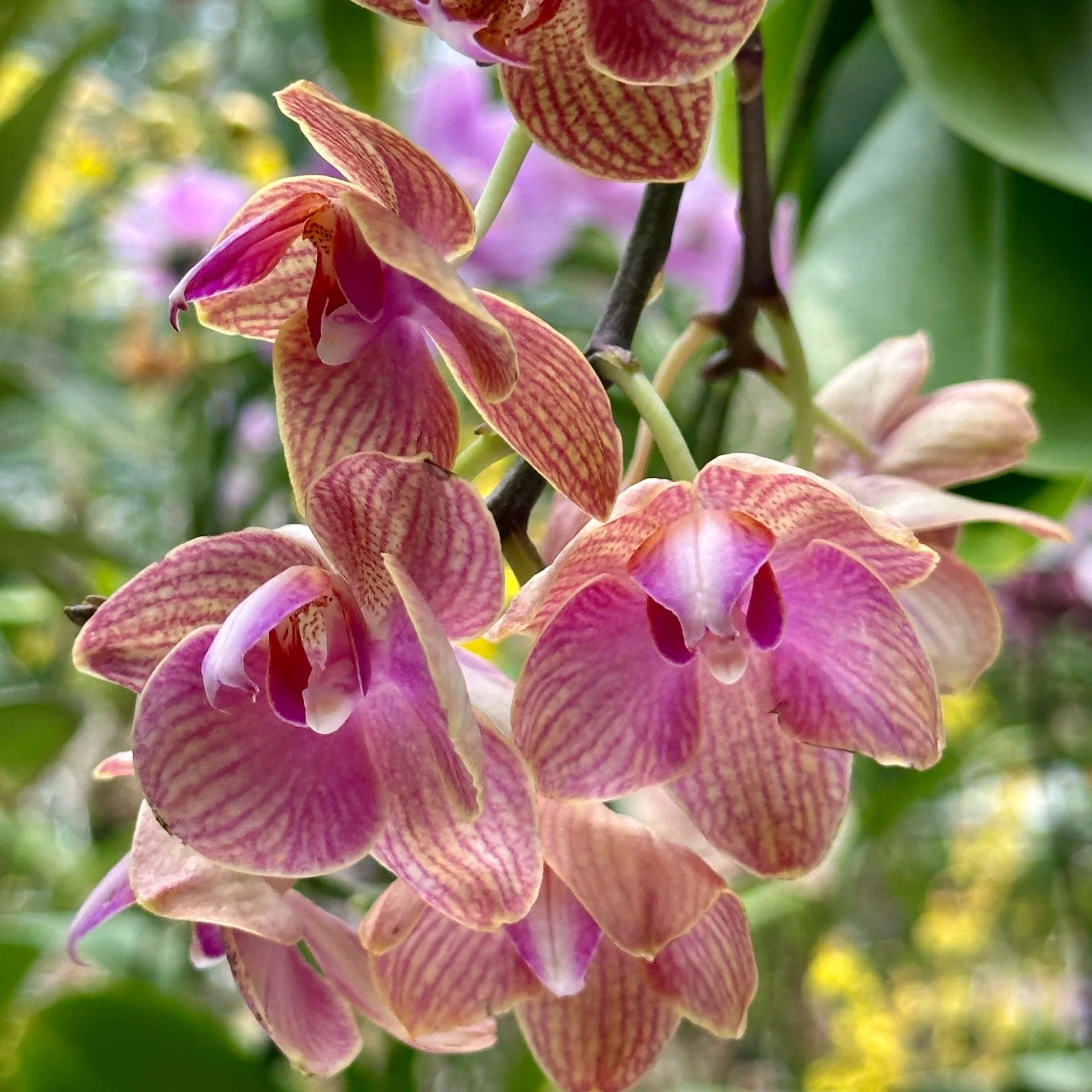 2025 10 Tokyo TeamLab - 26.jpeg