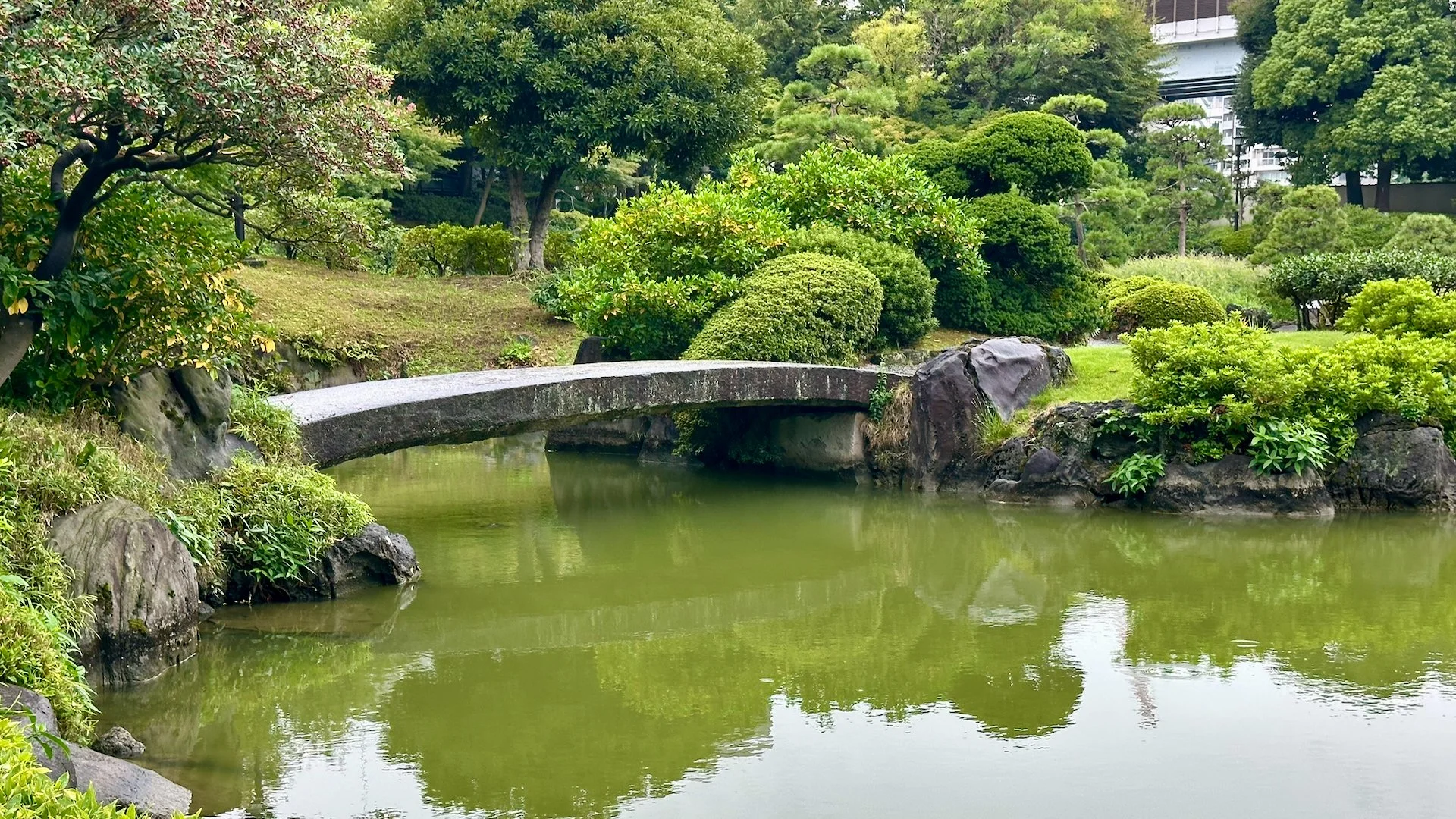  But they are so peaceful, it’s easy to forget. 