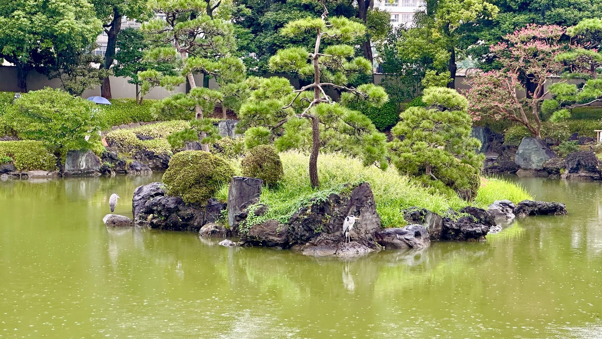 2025 10 Tokyo TeamLab - 46.jpeg